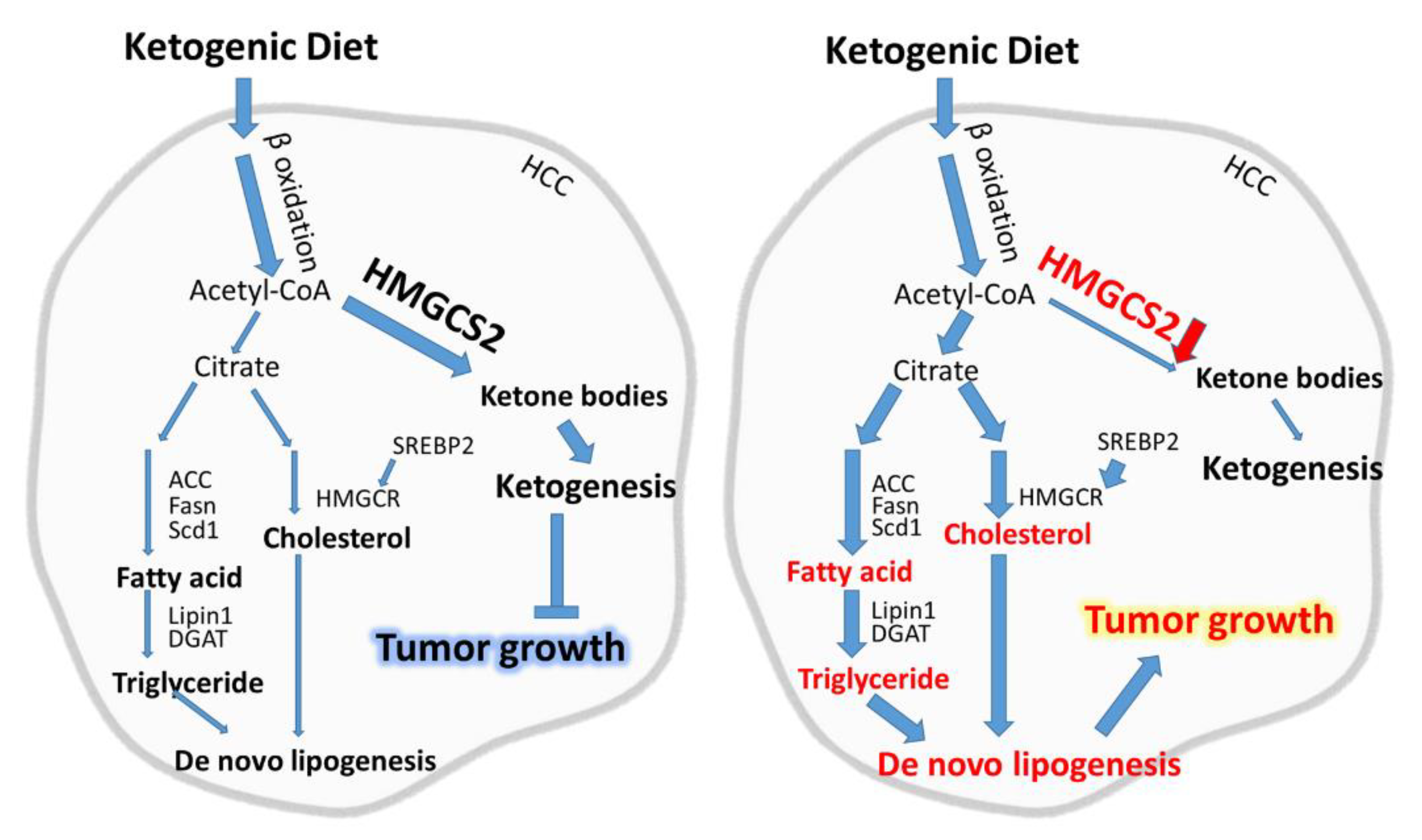 Cancers 12 01797 g007