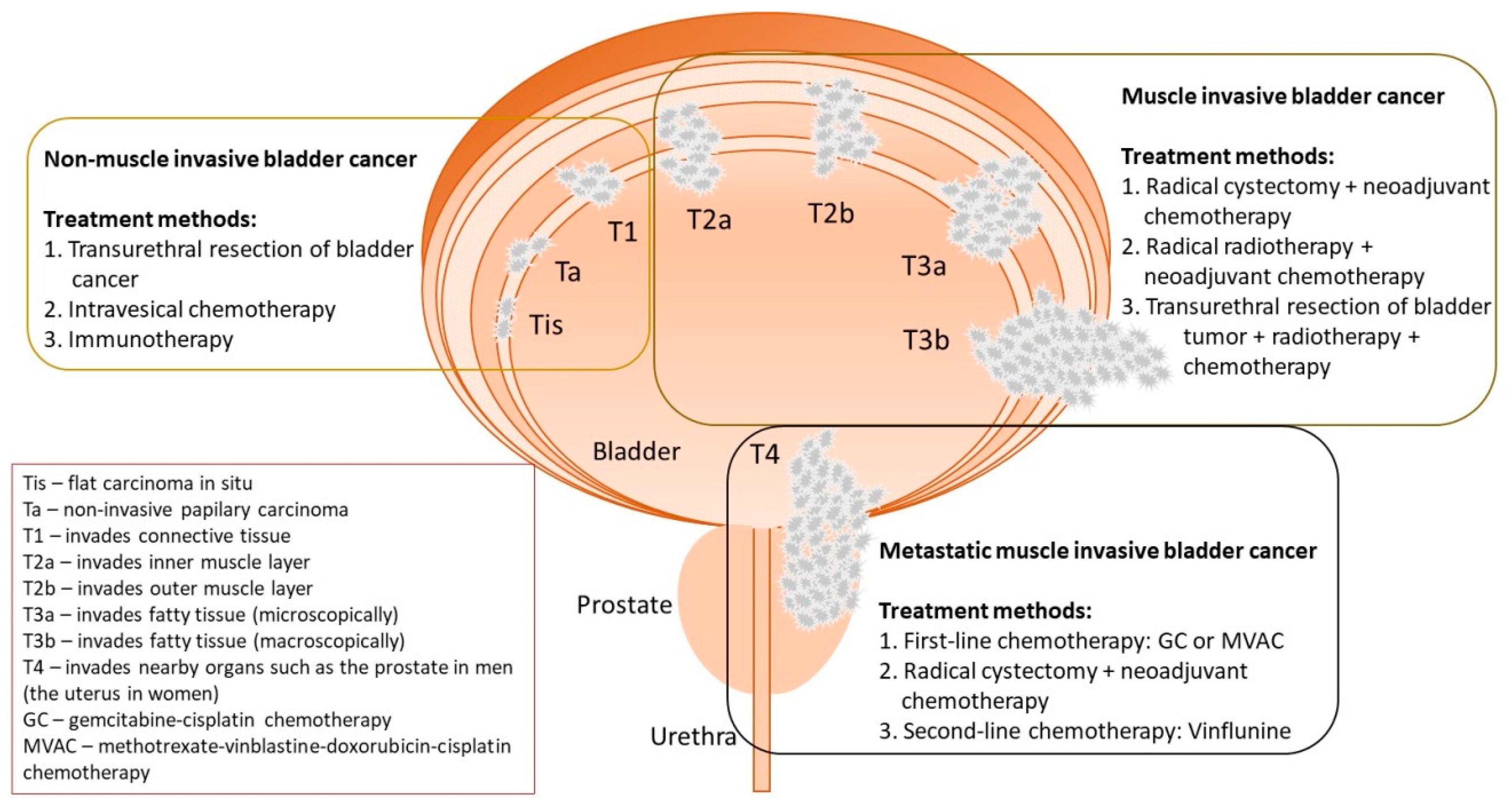 Cancers 12 01801 g001 Cancers 12 01801 g001