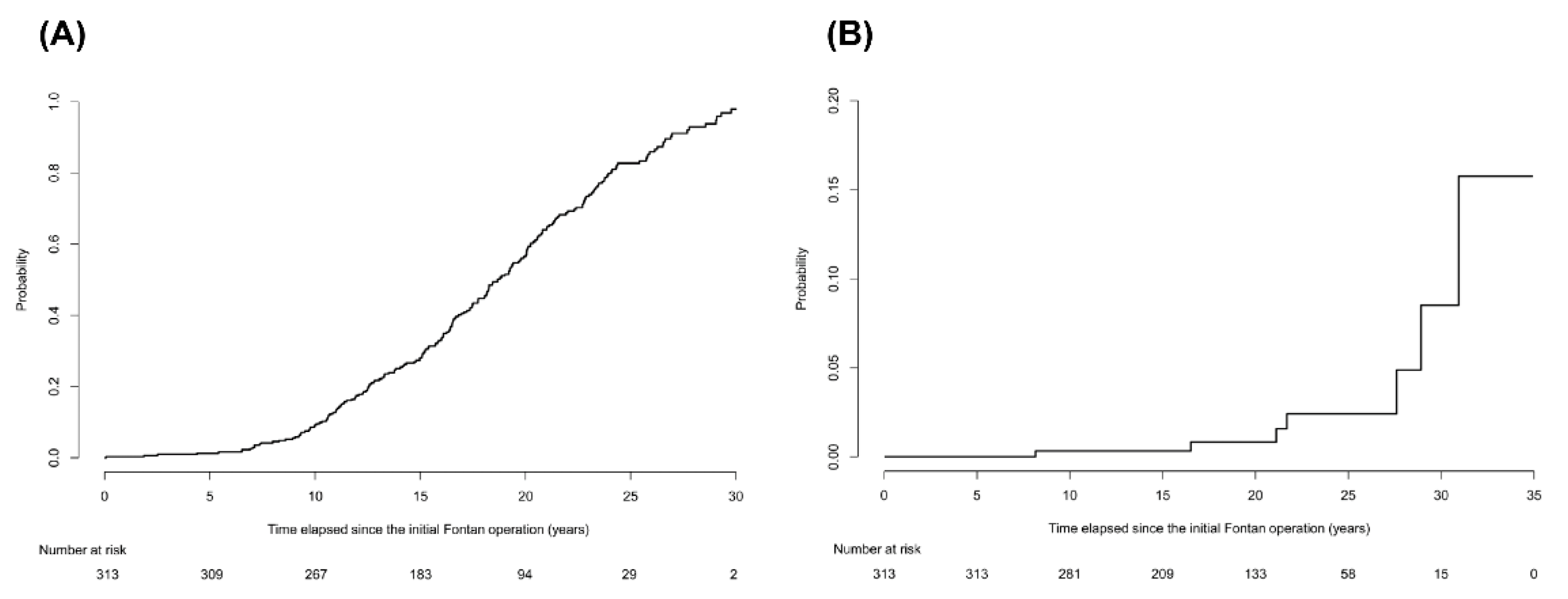 Cancers 12 01805 g001 Cancers 12 01805 g001