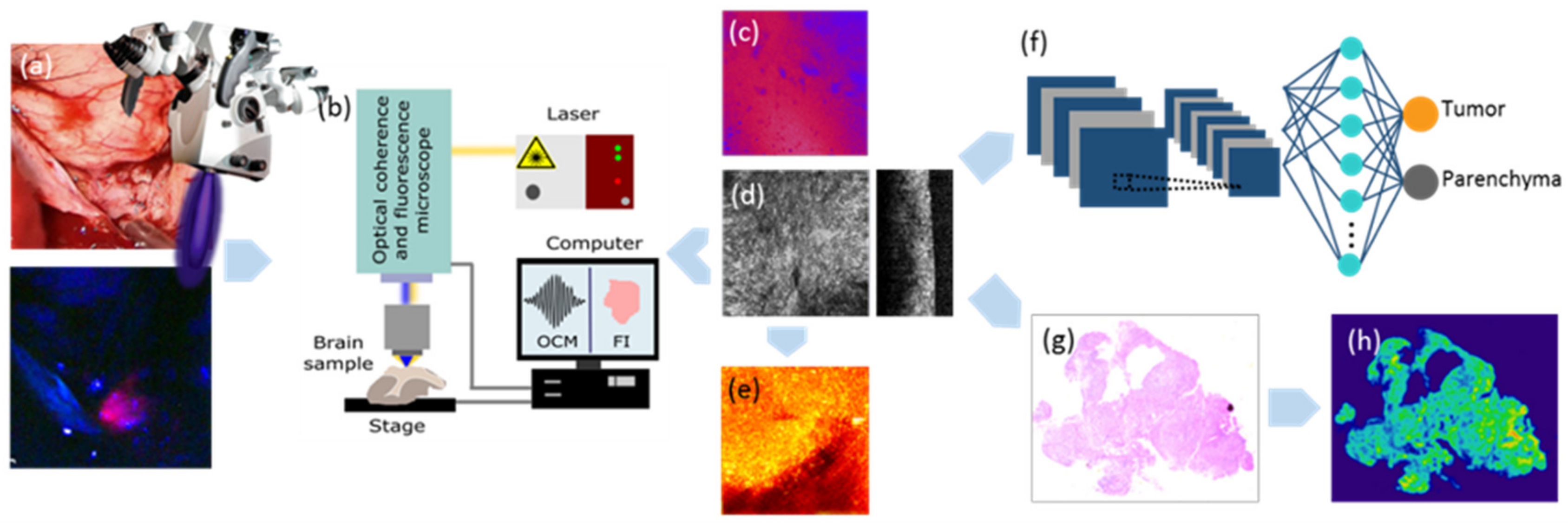 Cancers 12 01806 g006 Cancers 12 01806 g006