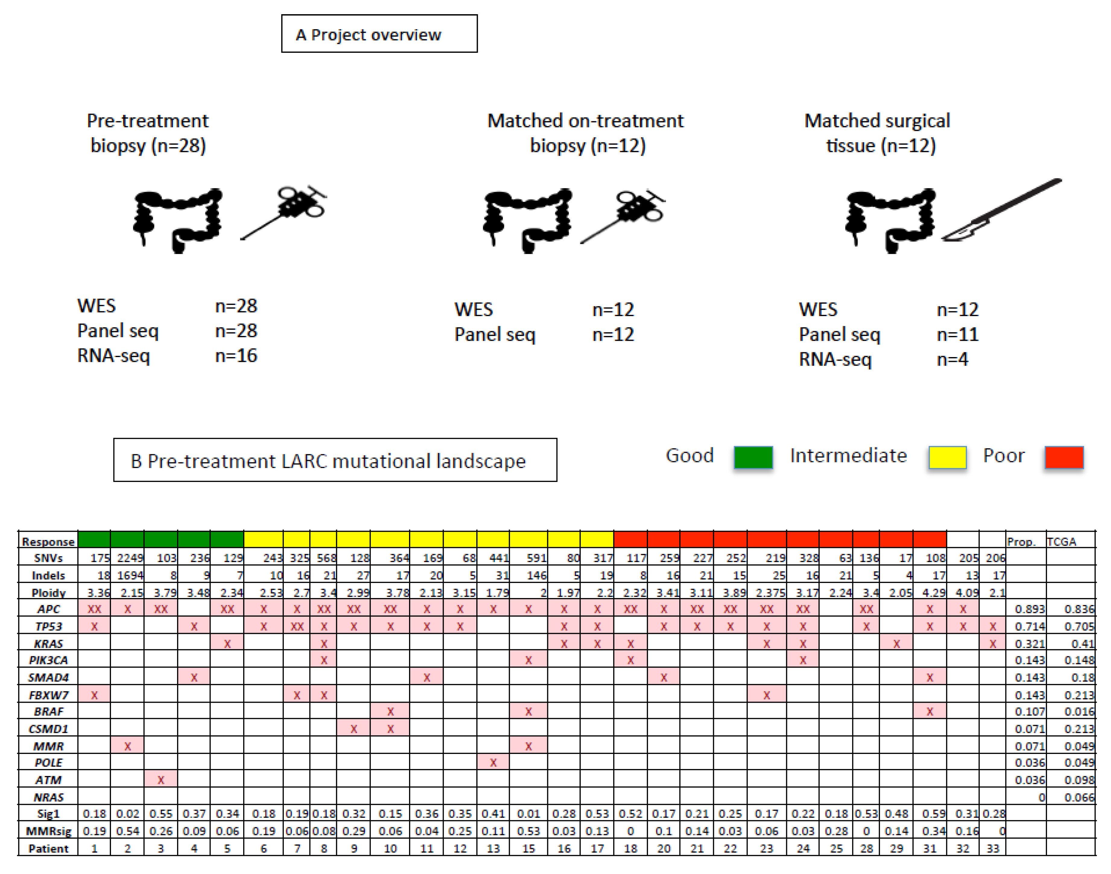 Cancers 12 01808 g001a Cancers 12 01808 g001a