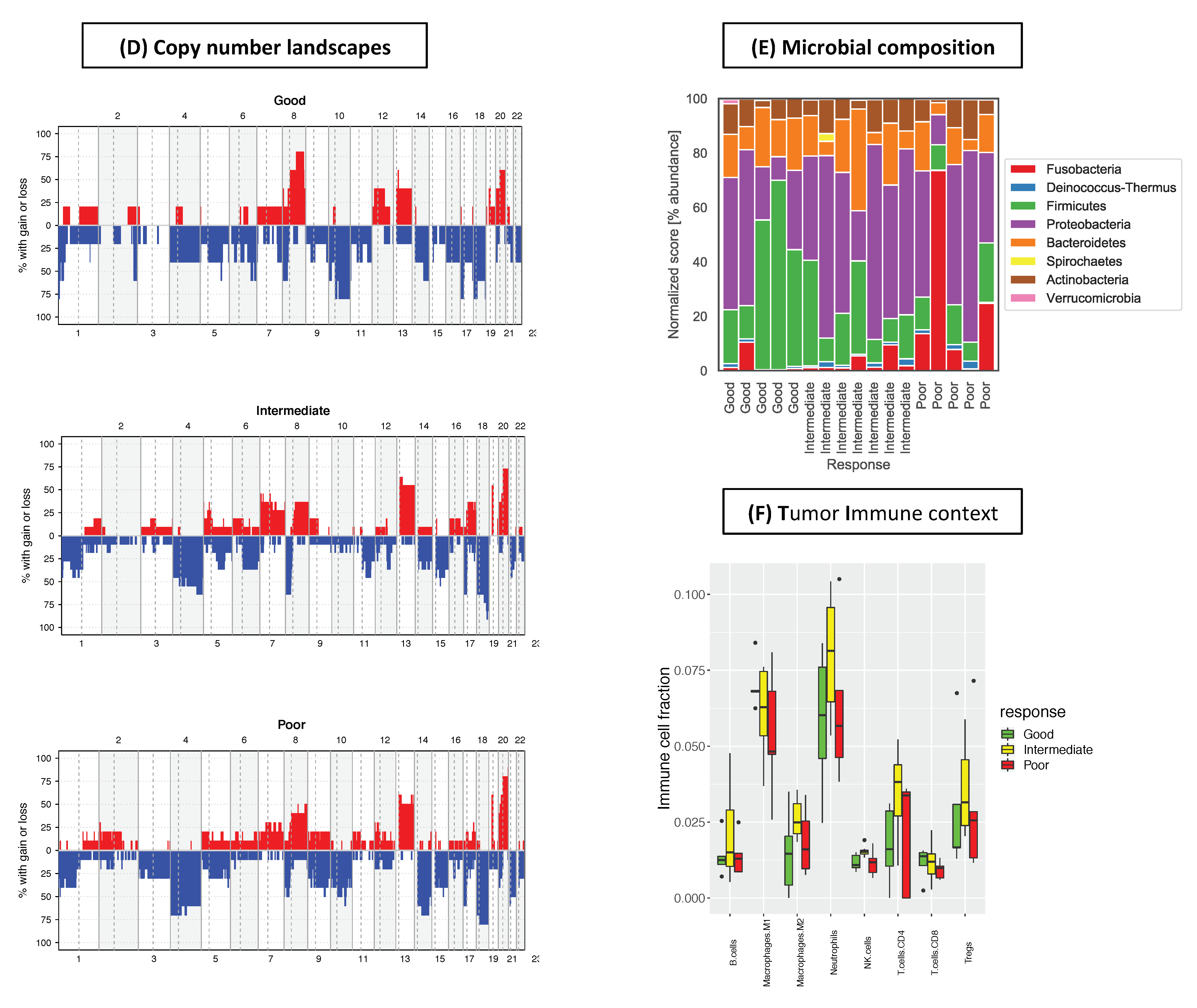 Cancers 12 01808 g002b Cancers 12 01808 g002b
