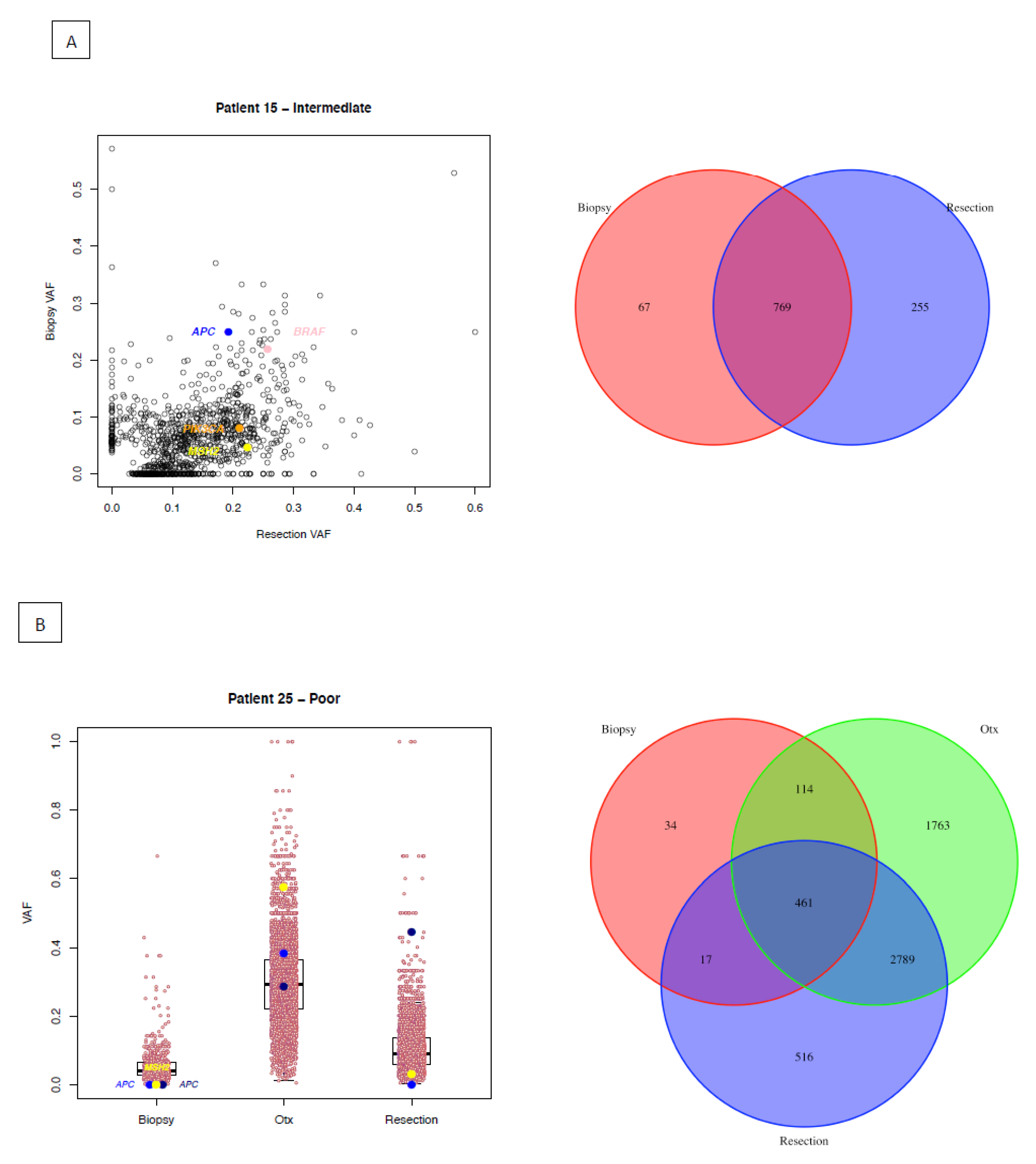 Cancers 12 01808 g003 Cancers 12 01808 g003