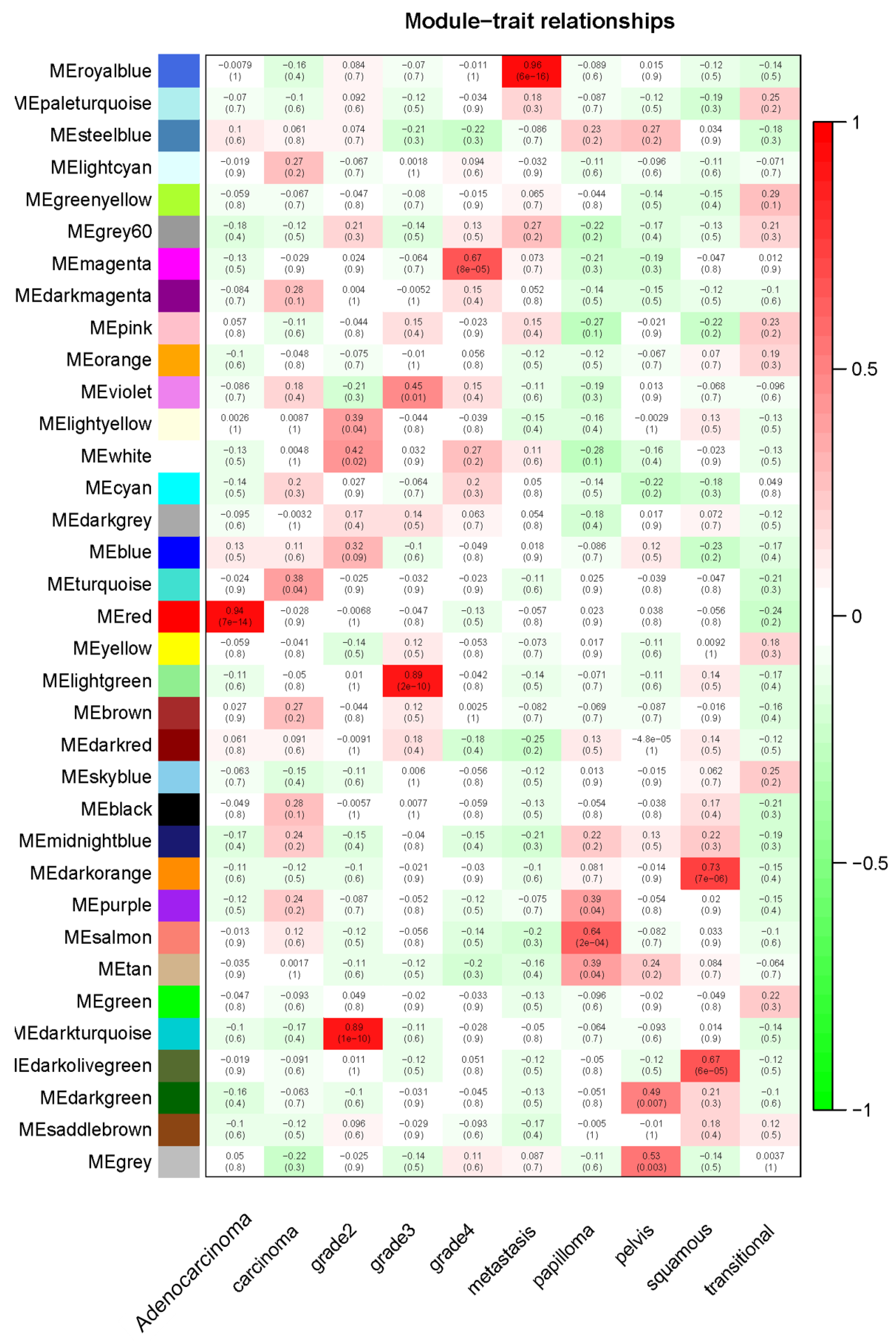 Cancers 12 01809 g004 Cancers 12 01809 g004