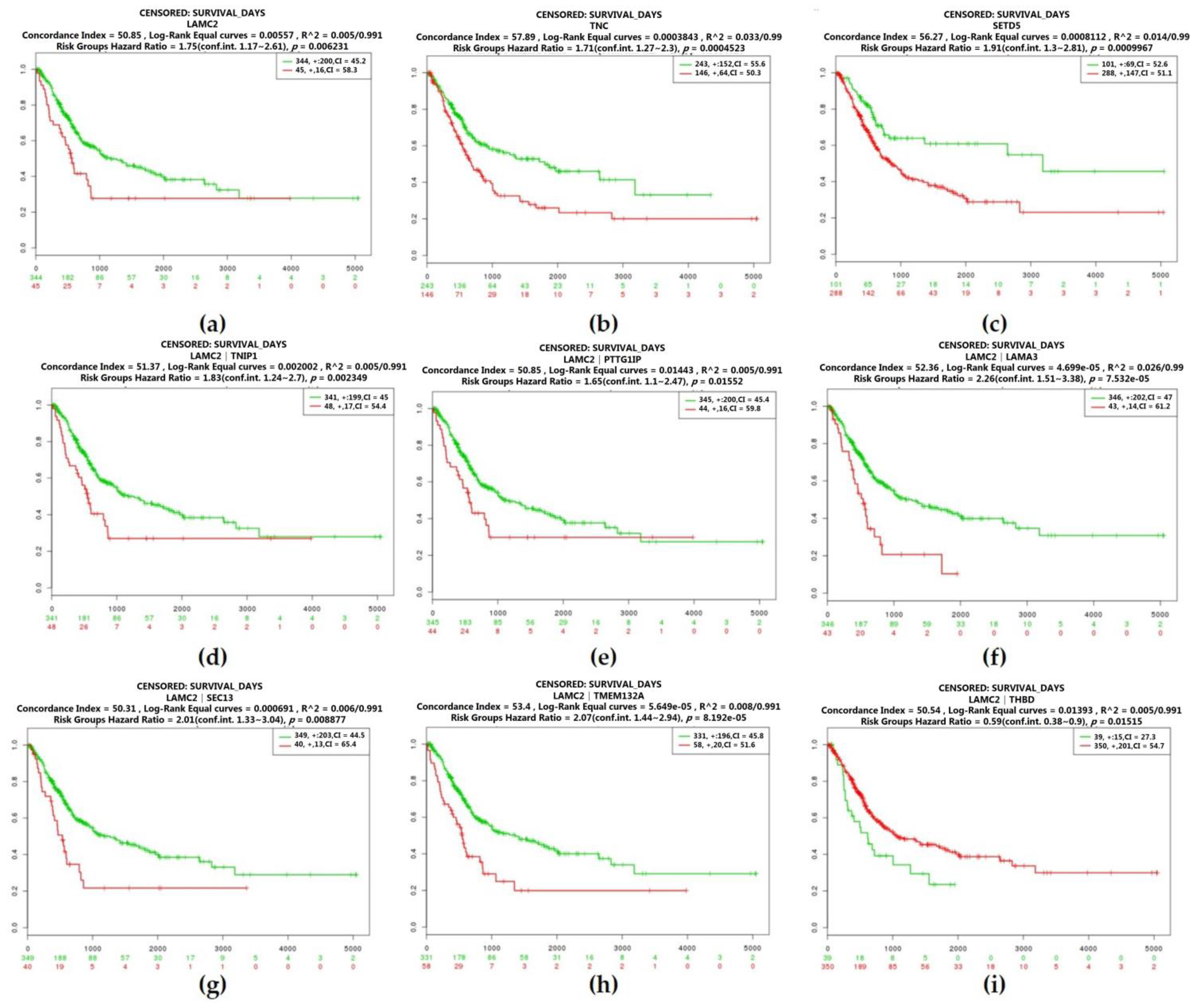 Cancers 12 01809 g007 Cancers 12 01809 g007