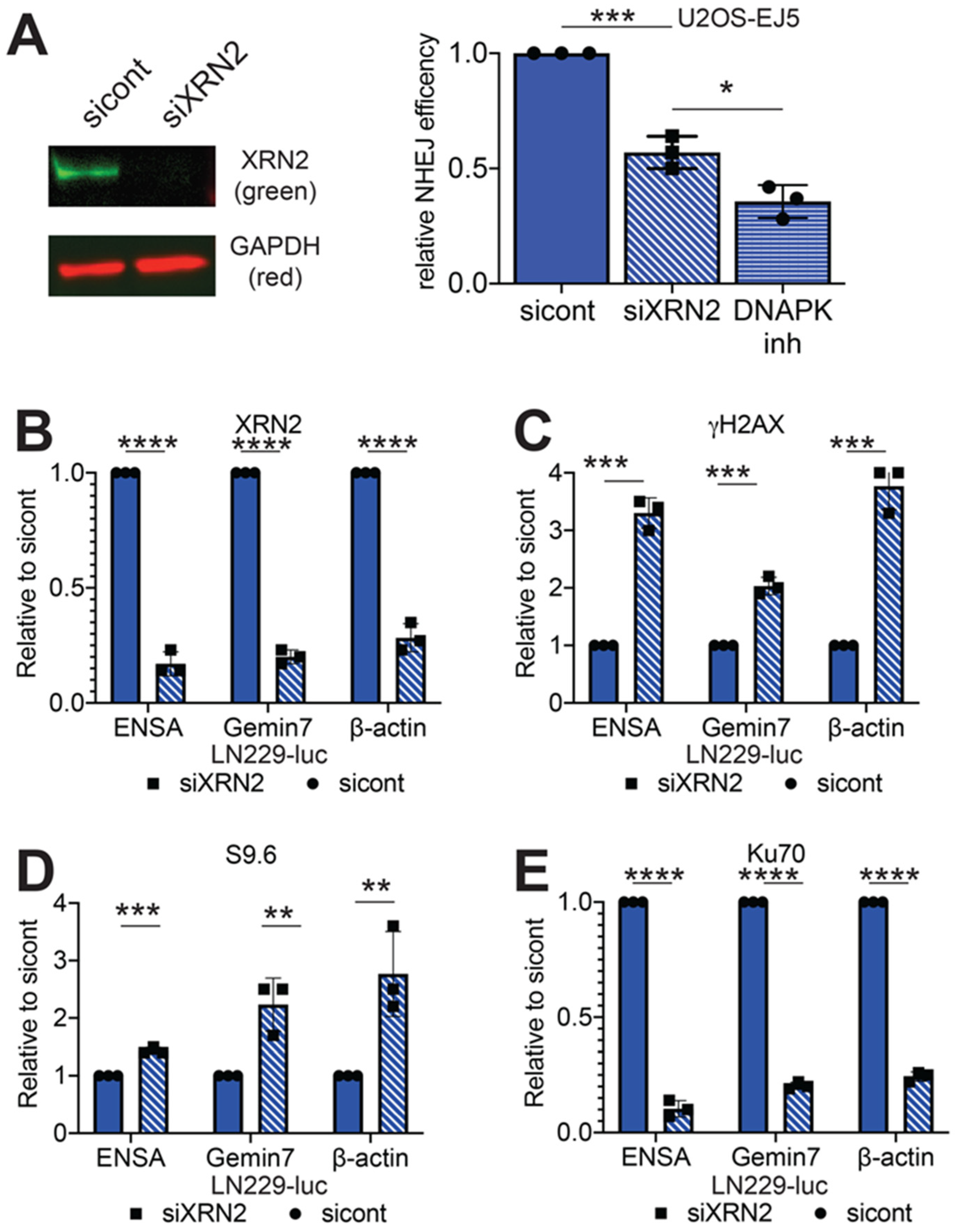 Cancers 12 01821 g001 Cancers 12 01821 g001
