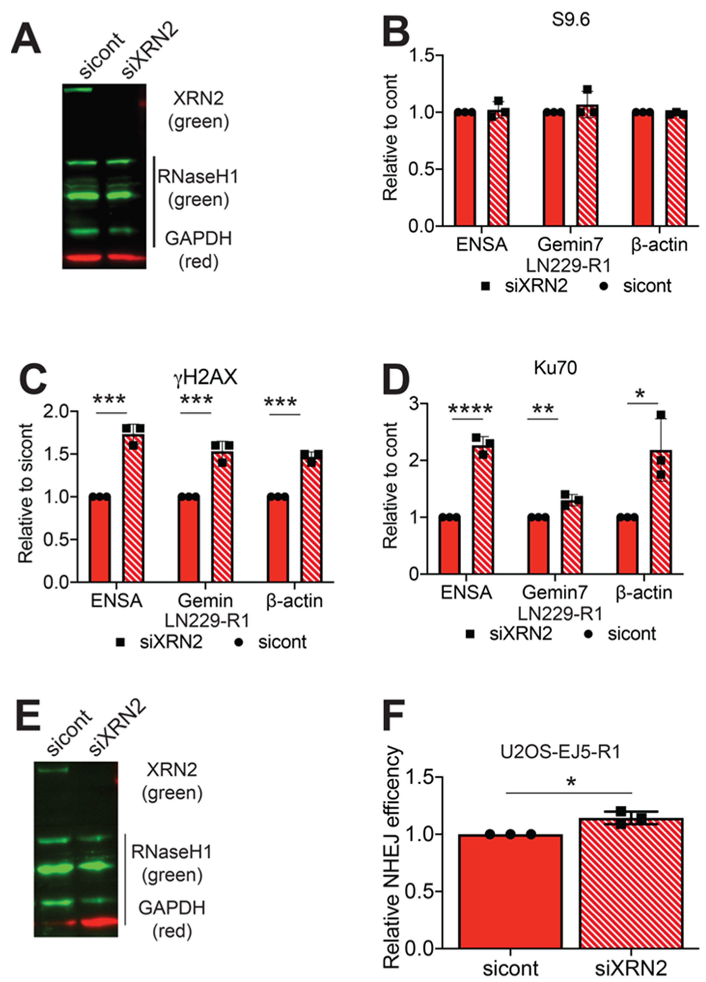 Cancers 12 01821 g004 Cancers 12 01821 g004