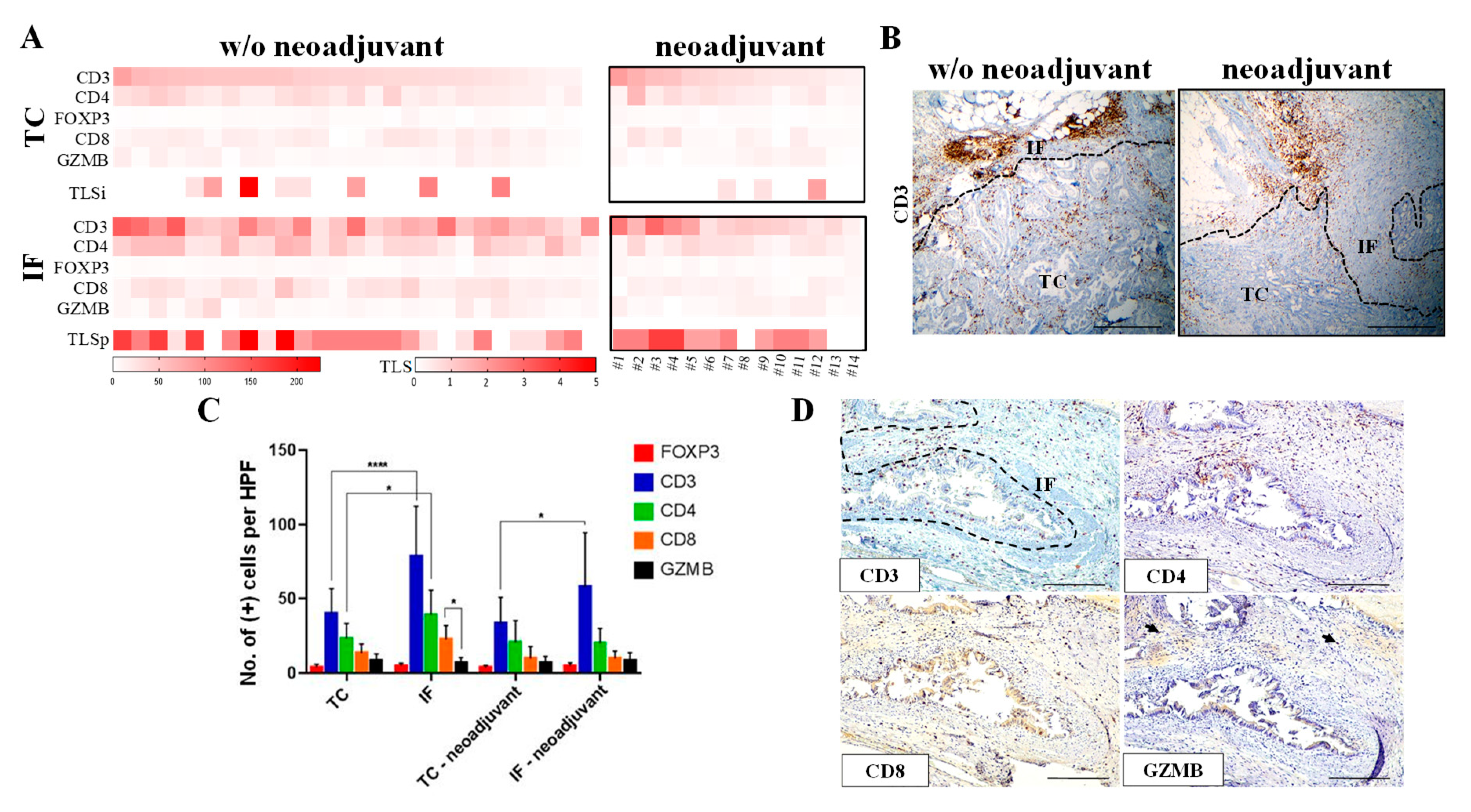 Cancers 12 01825 g001 Cancers 12 01825 g001