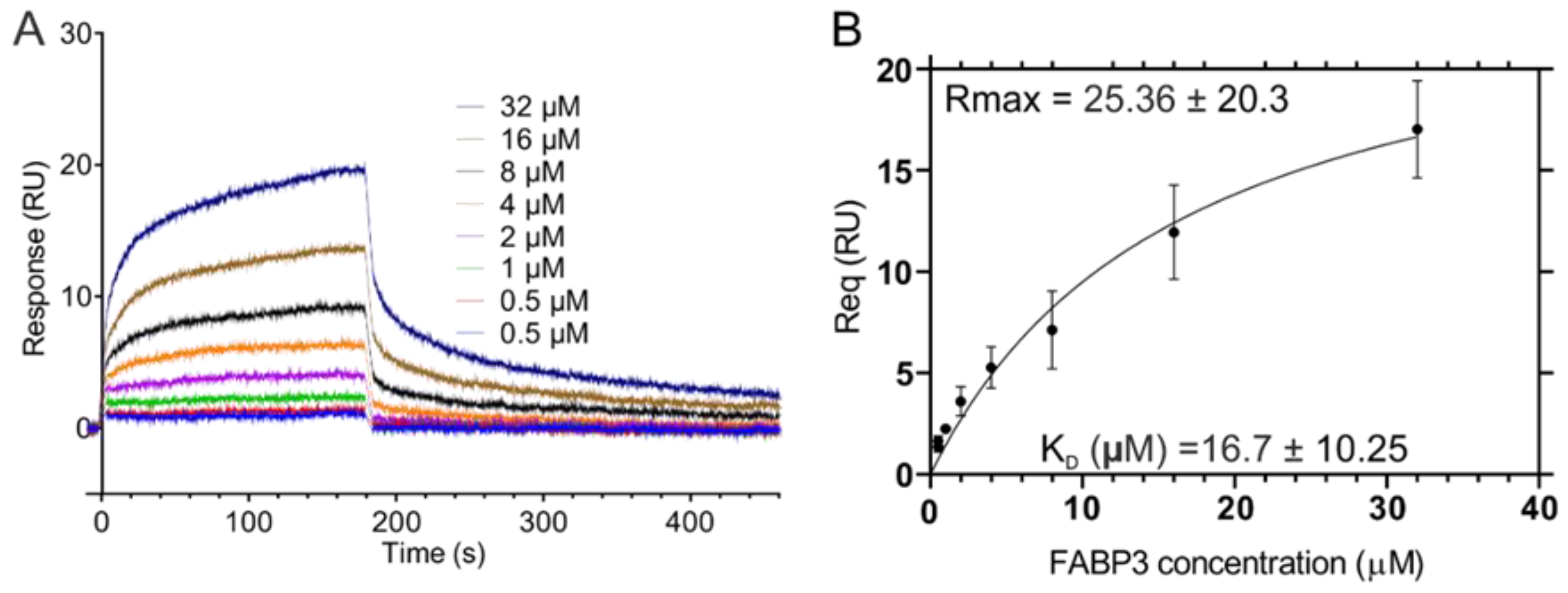 Cancers 12 01836 g003