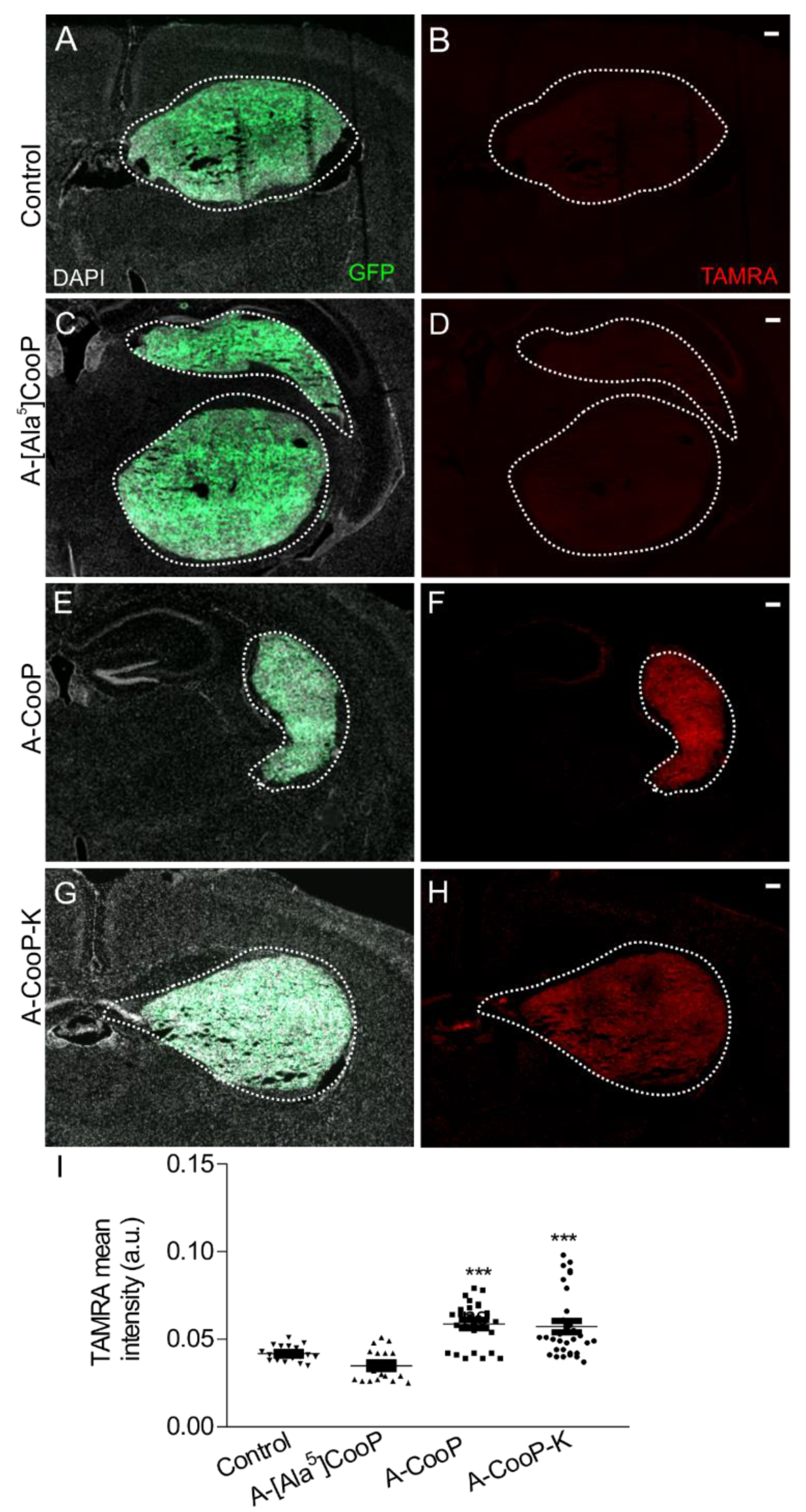 Cancers 12 01836 g007