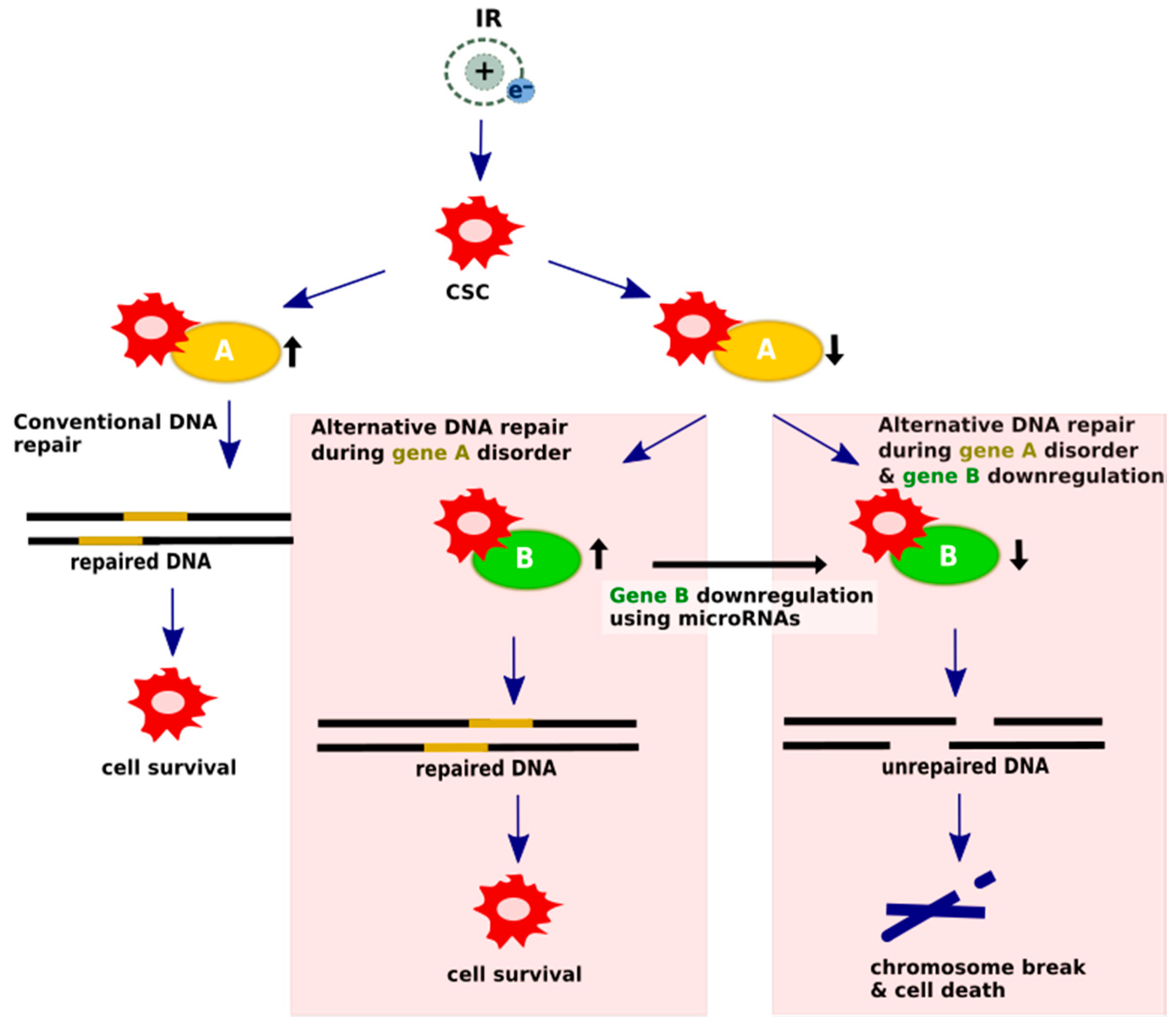 Cancers 12 01838 g003