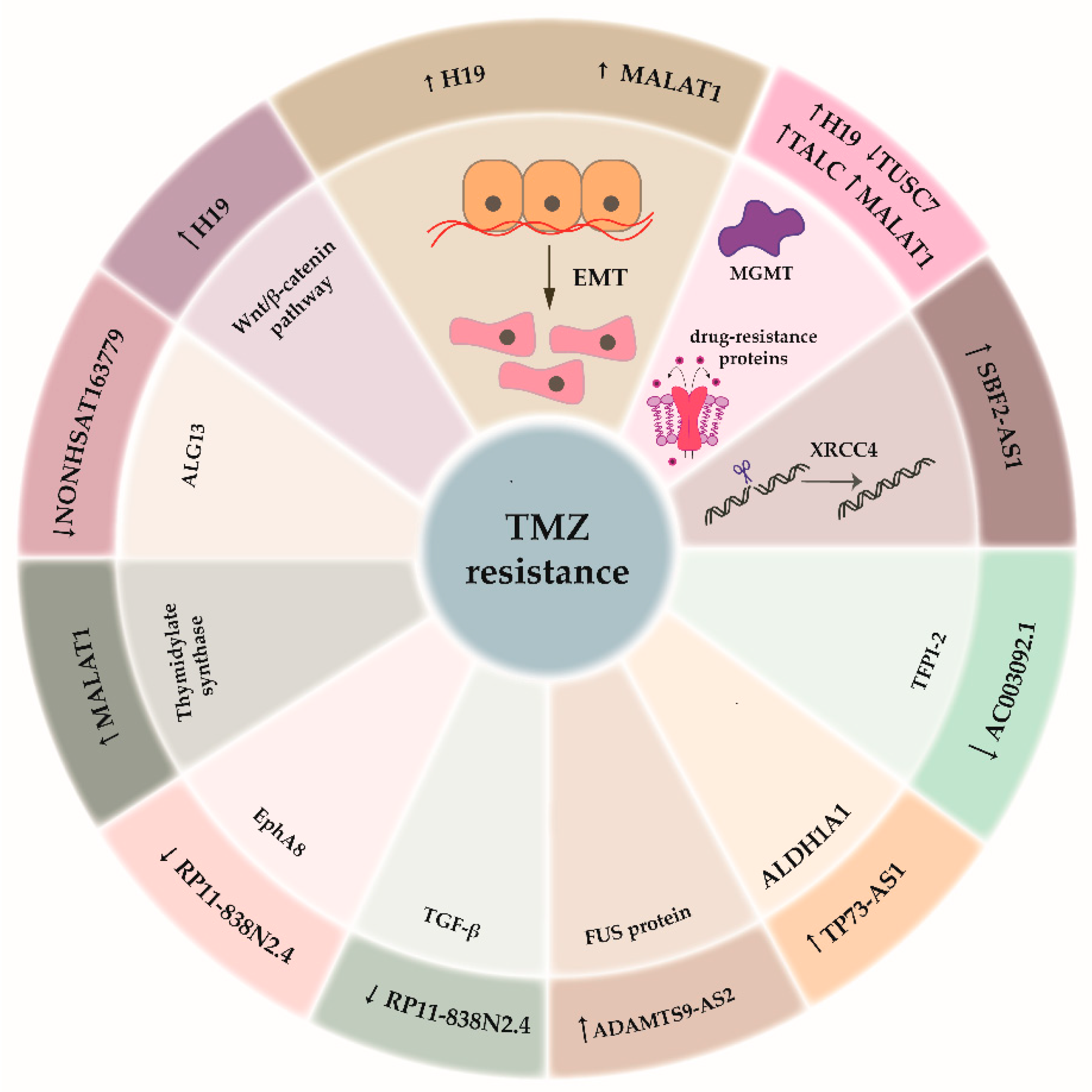 Cancers 12 01842 g003