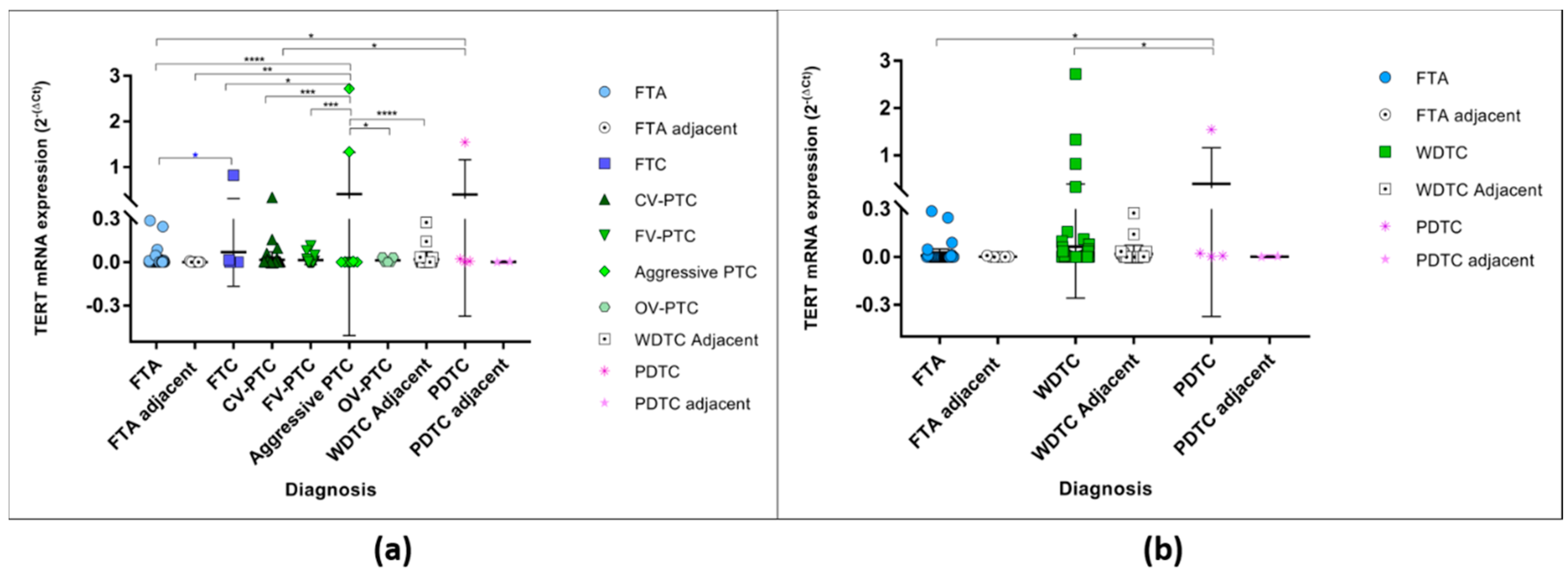 Comprehensive Assessment of TERT mRNA Expression across a