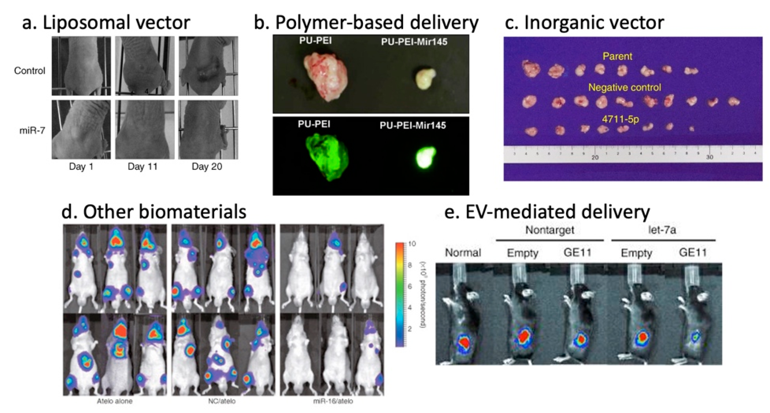Cancers 12 01852 g001