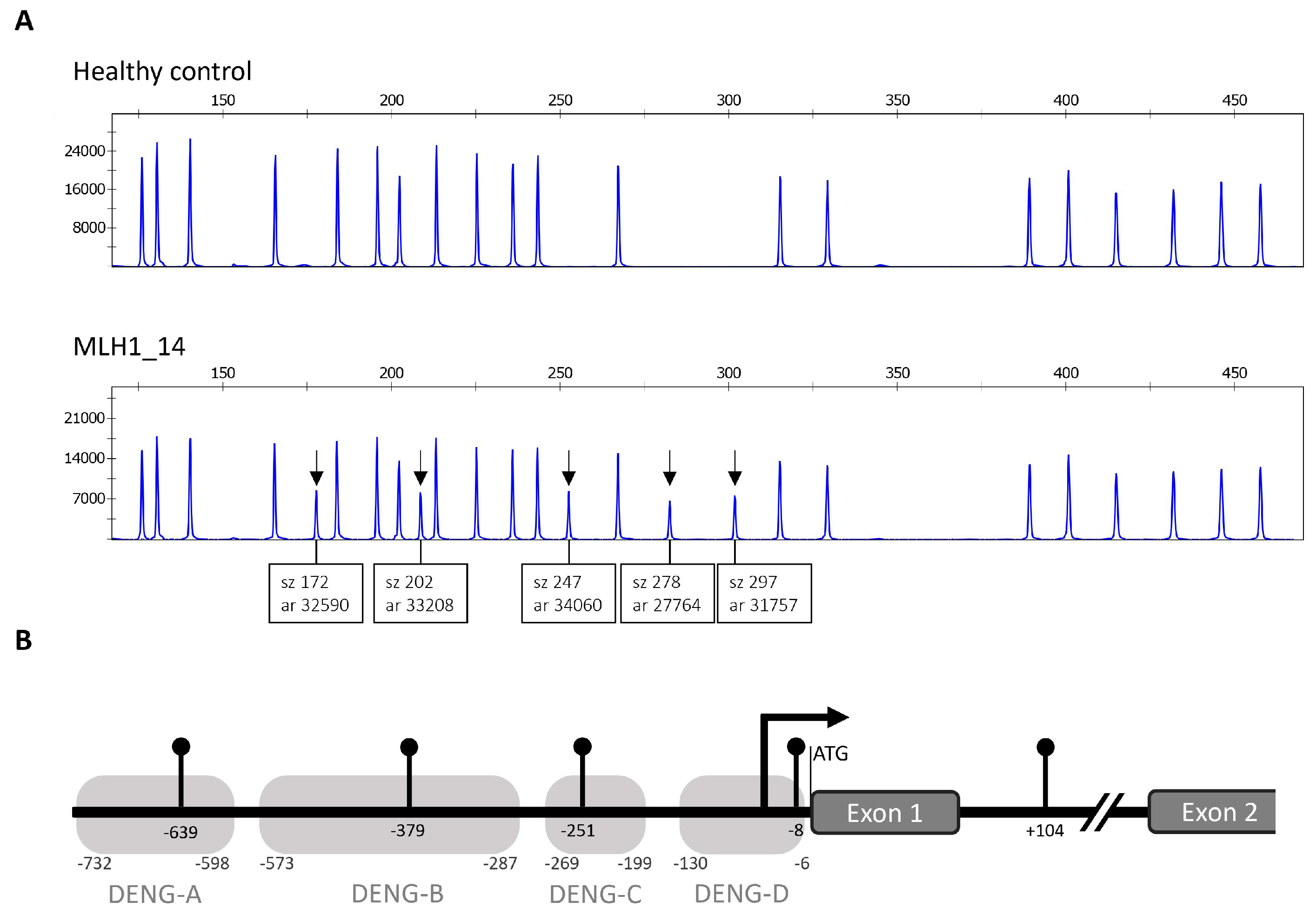 Cancers 12 01853 g002