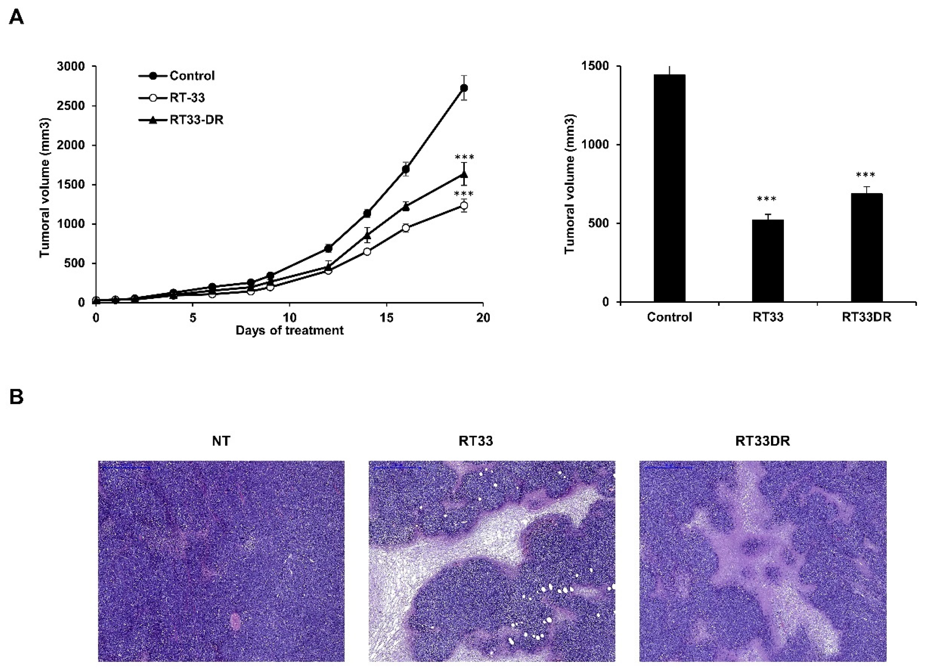 Cancers 12 01858 g008 Cancers 12 01858 g008