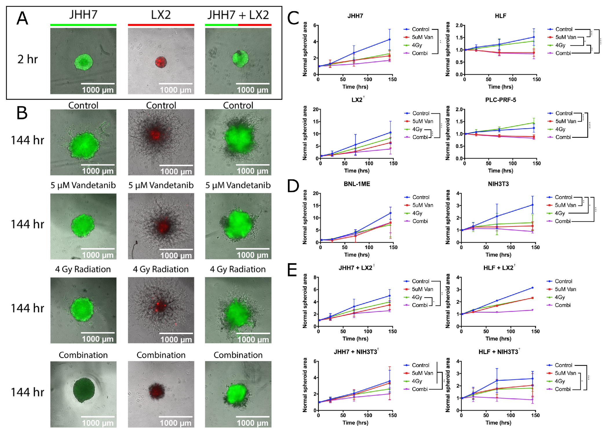 Cancers 12 01878 g005 Cancers 12 01878 g005