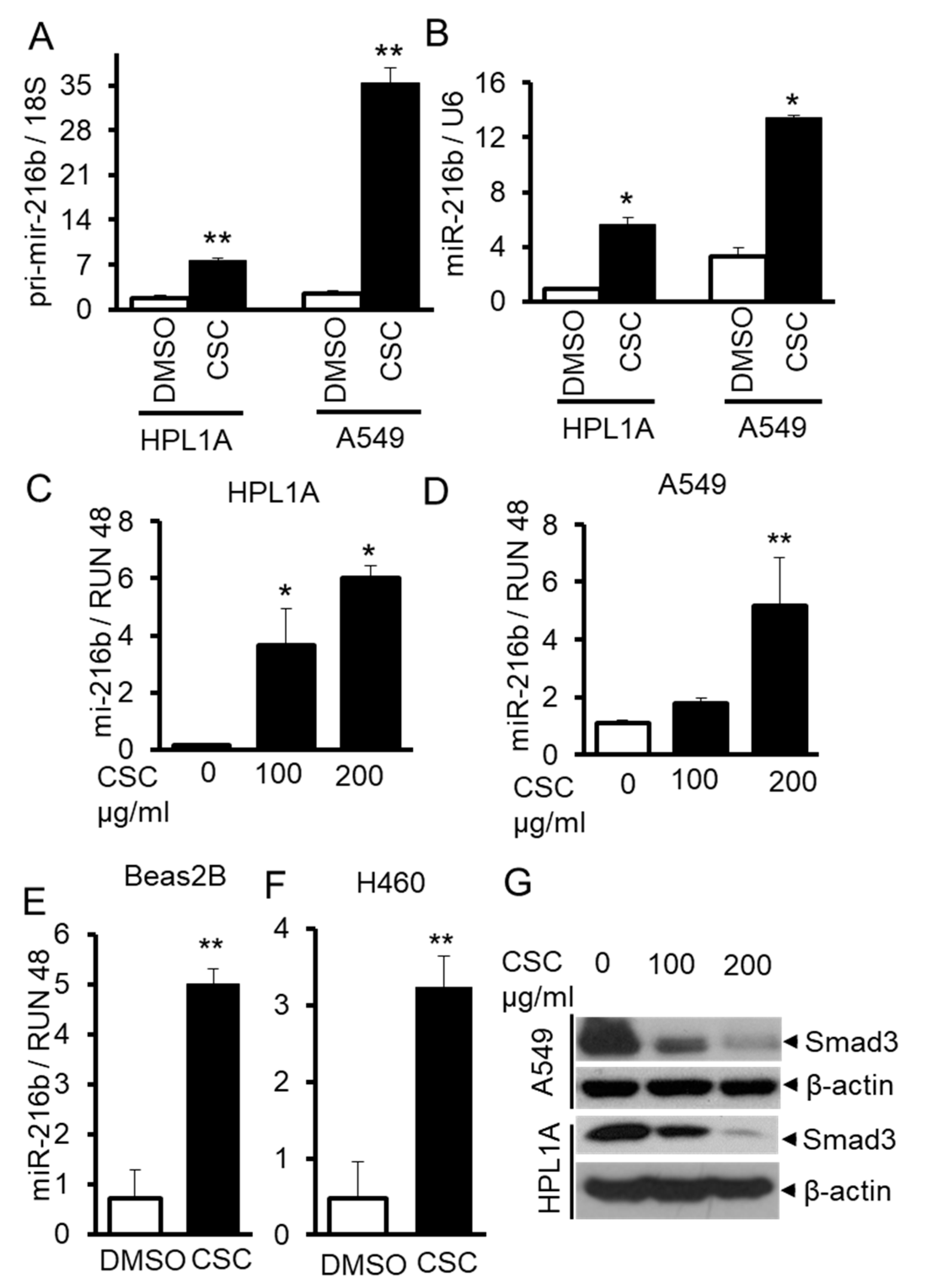 Cancers 12 01879 g002 Cancers 12 01879 g002