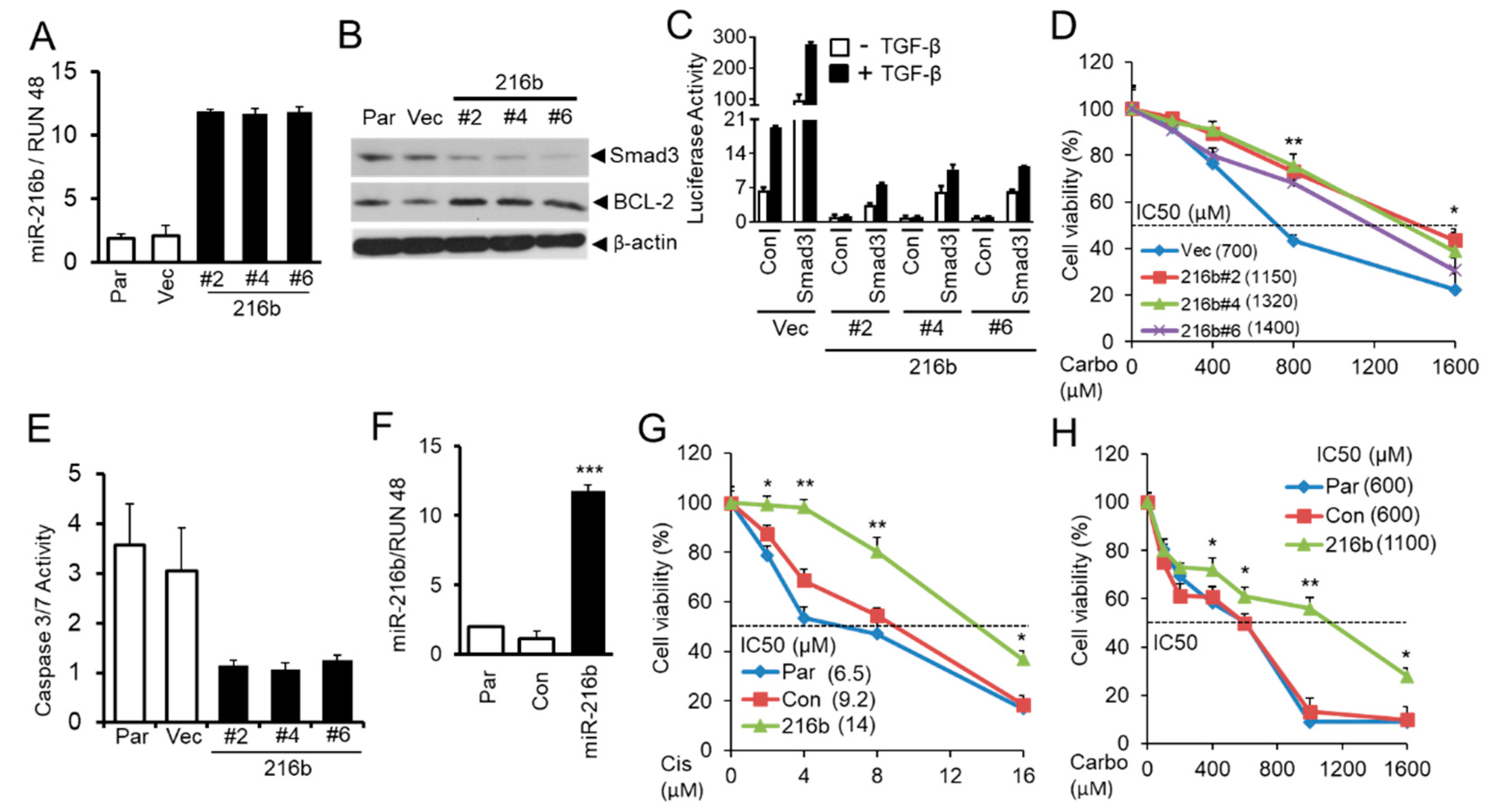 Cancers 12 01879 g006 Cancers 12 01879 g006