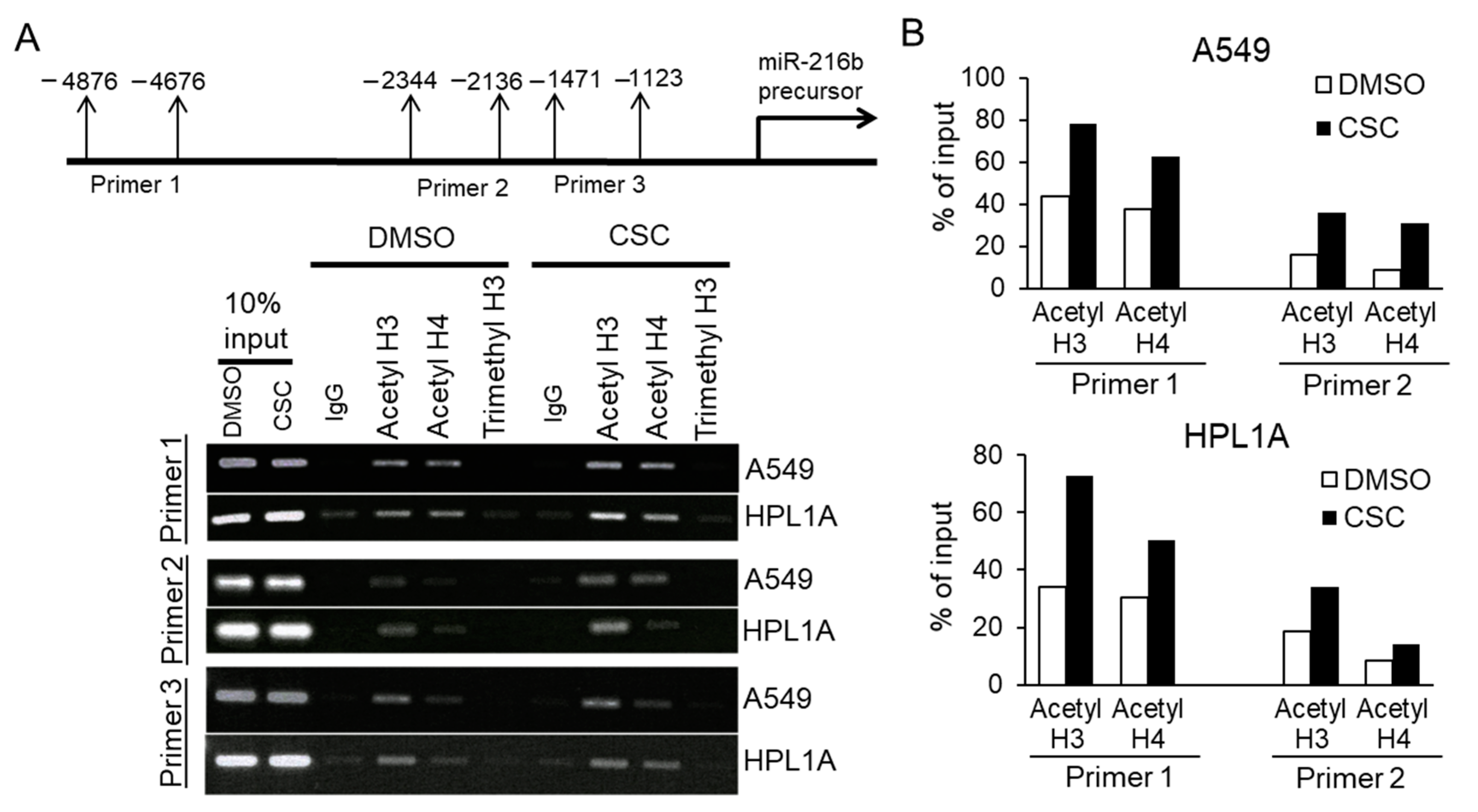Cancers 12 01879 g007 Cancers 12 01879 g007