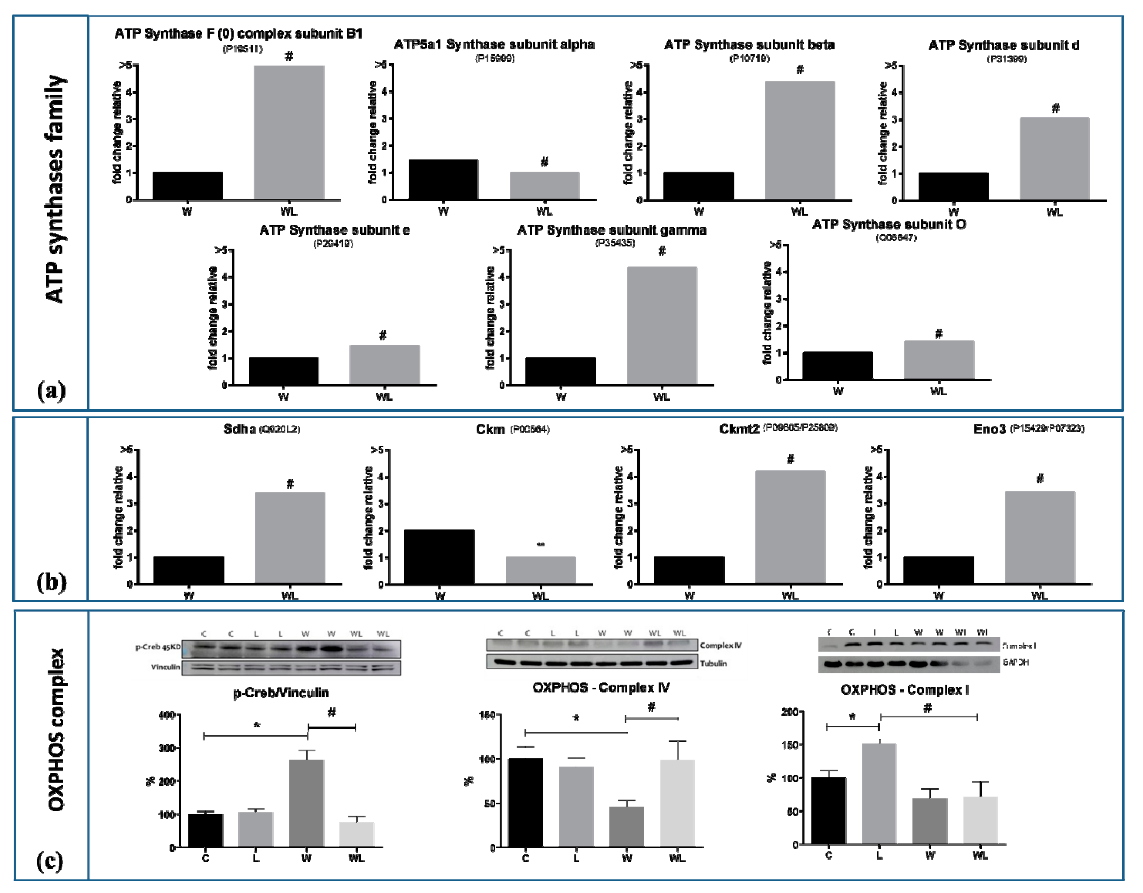 Cancers 12 01880 g006 Cancers 12 01880 g006