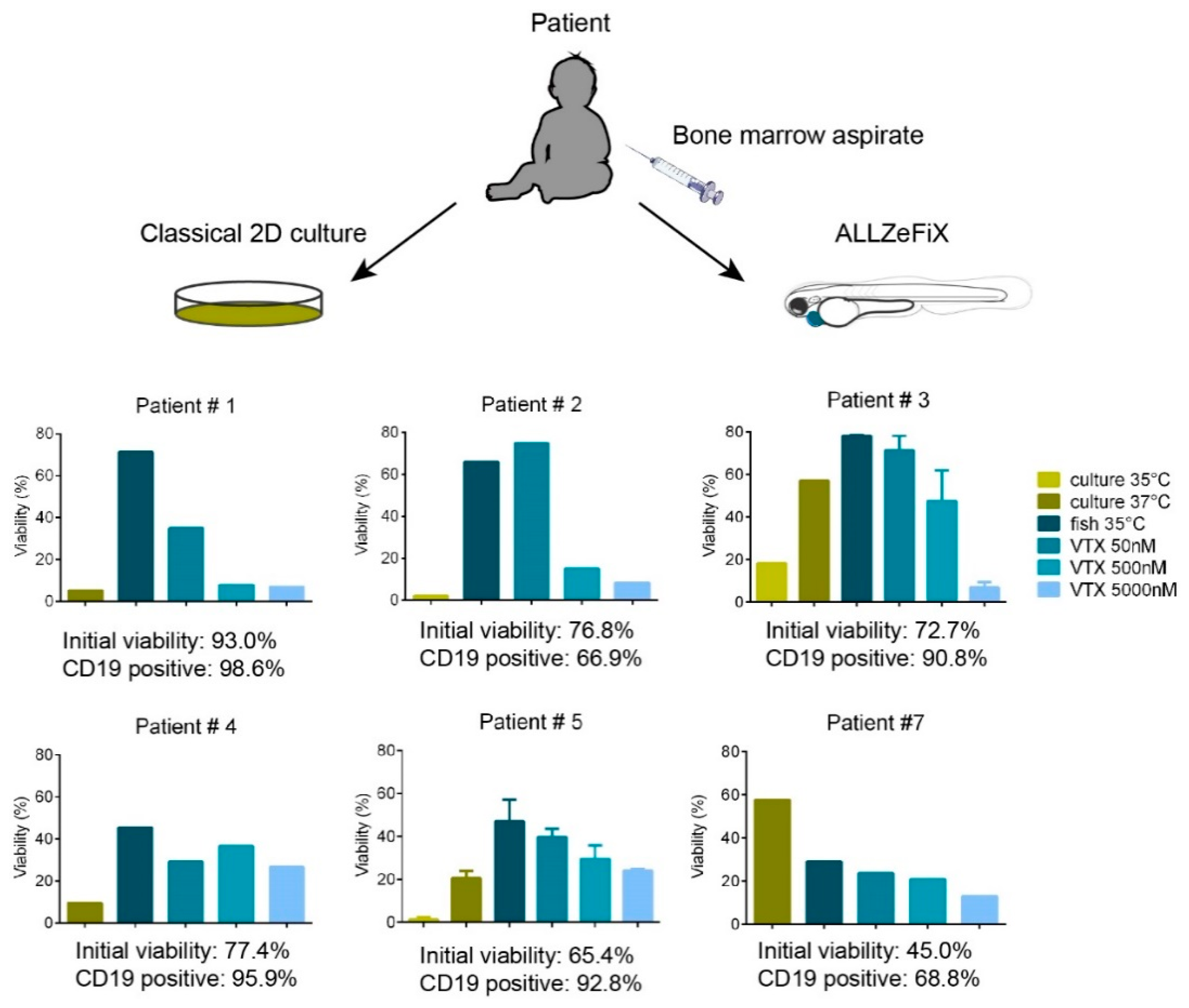 Cancers 12 01883 g003