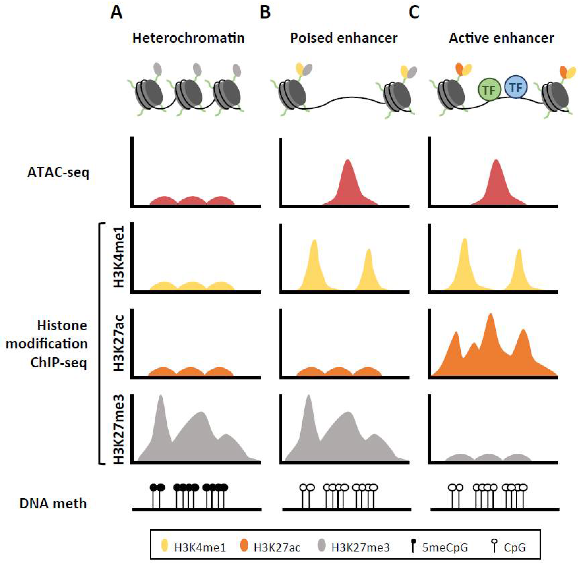Cancers 12 01885 g001