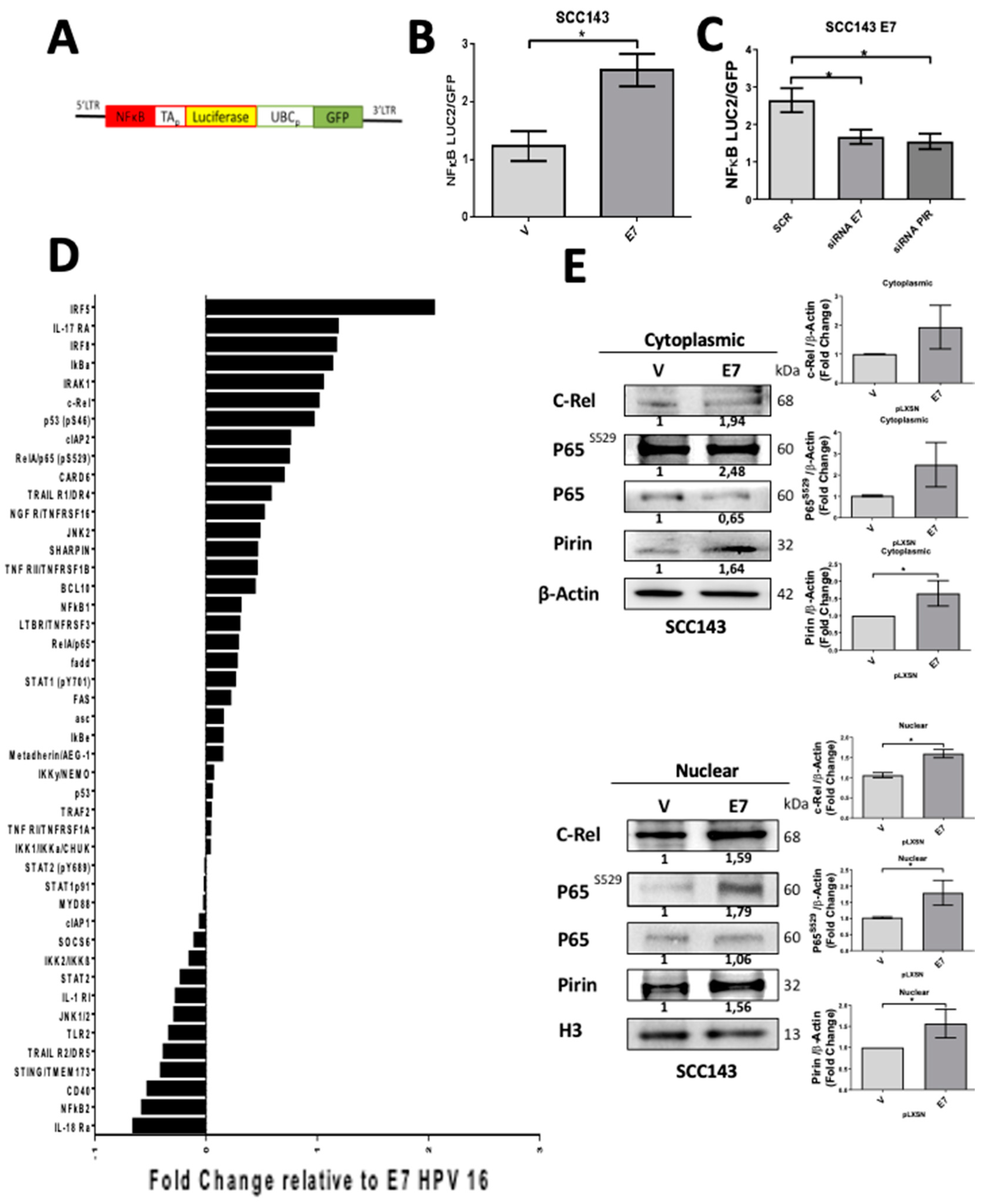 Cancers 12 01904 g002 Cancers 12 01904 g002