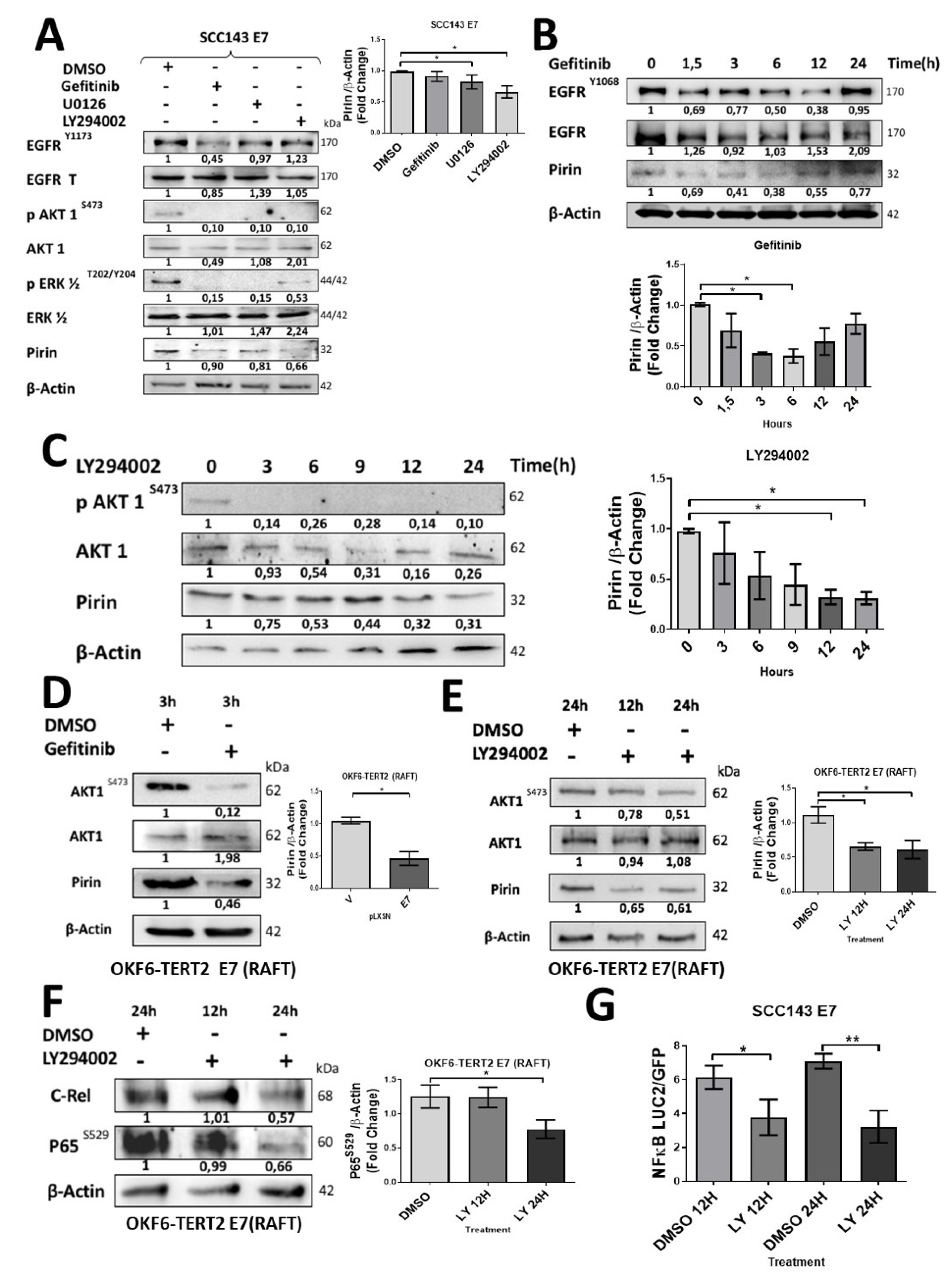 Cancers 12 01904 g004 Cancers 12 01904 g004