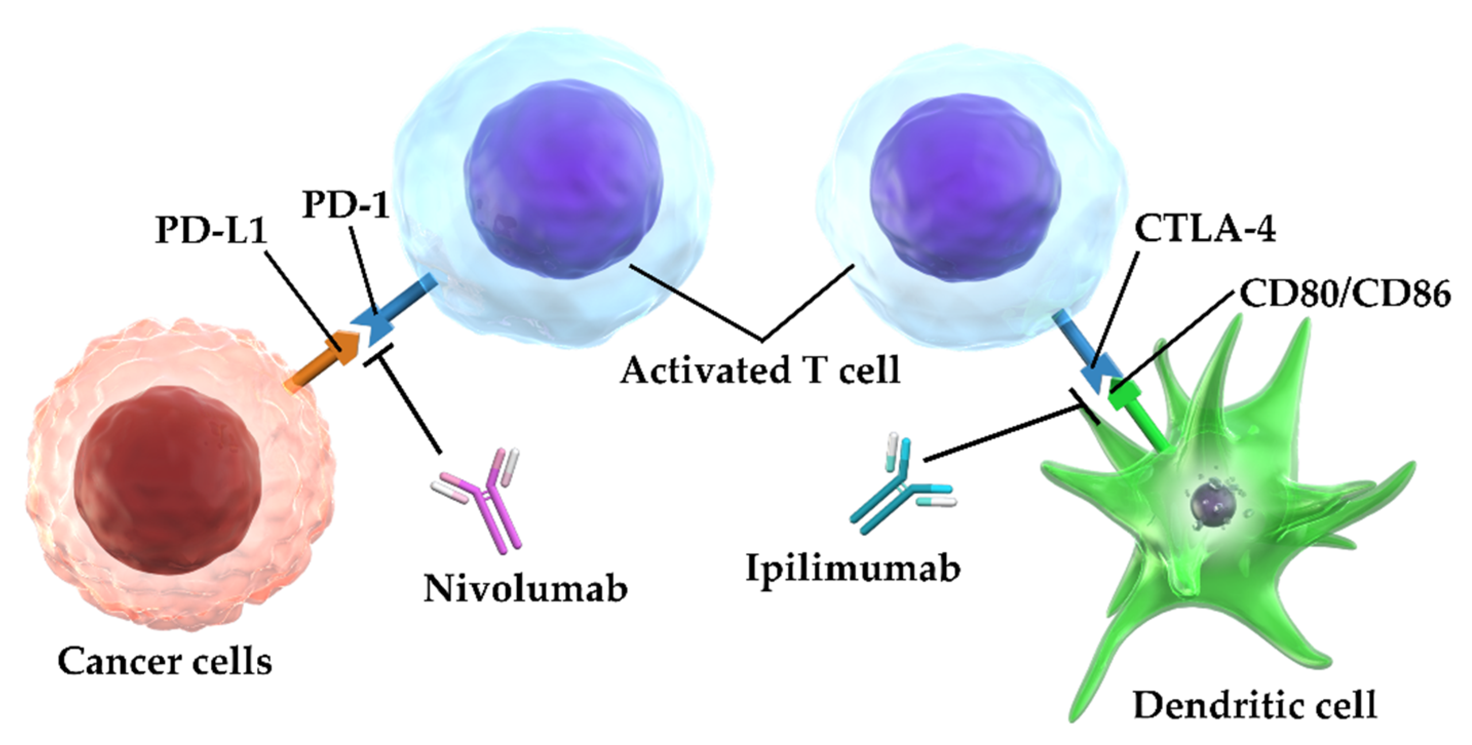 Cancers 12 01905 g010 Cancers 12 01905 g010