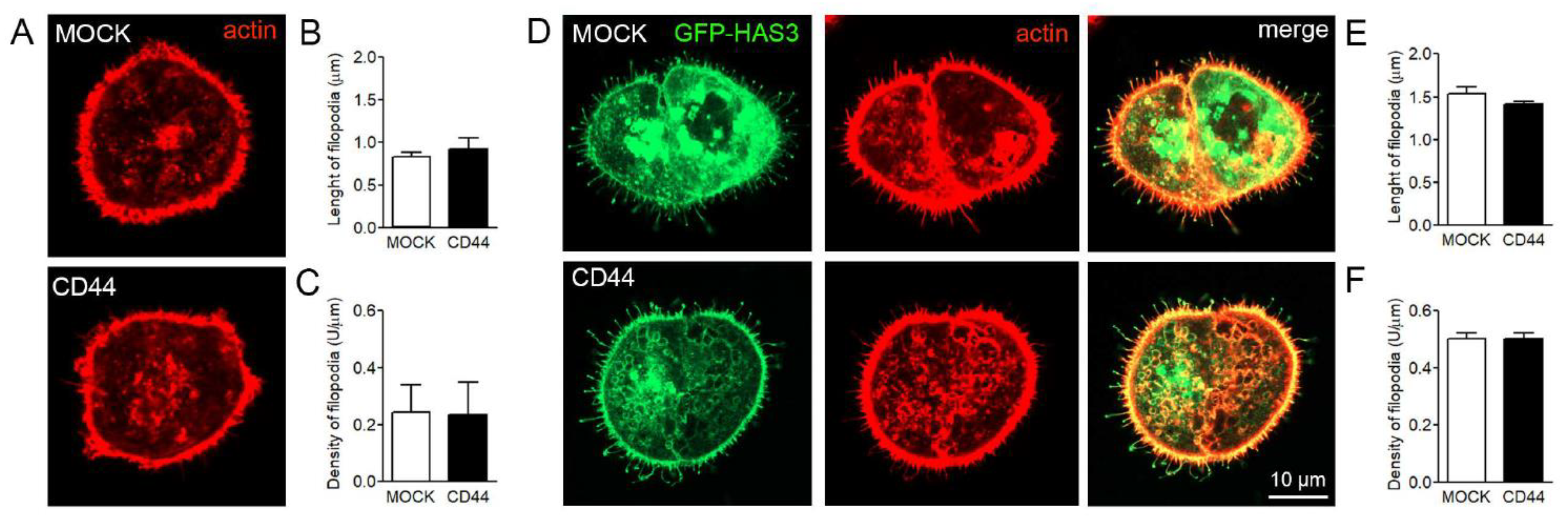 Cancers 12 01908 g006 Cancers 12 01908 g006