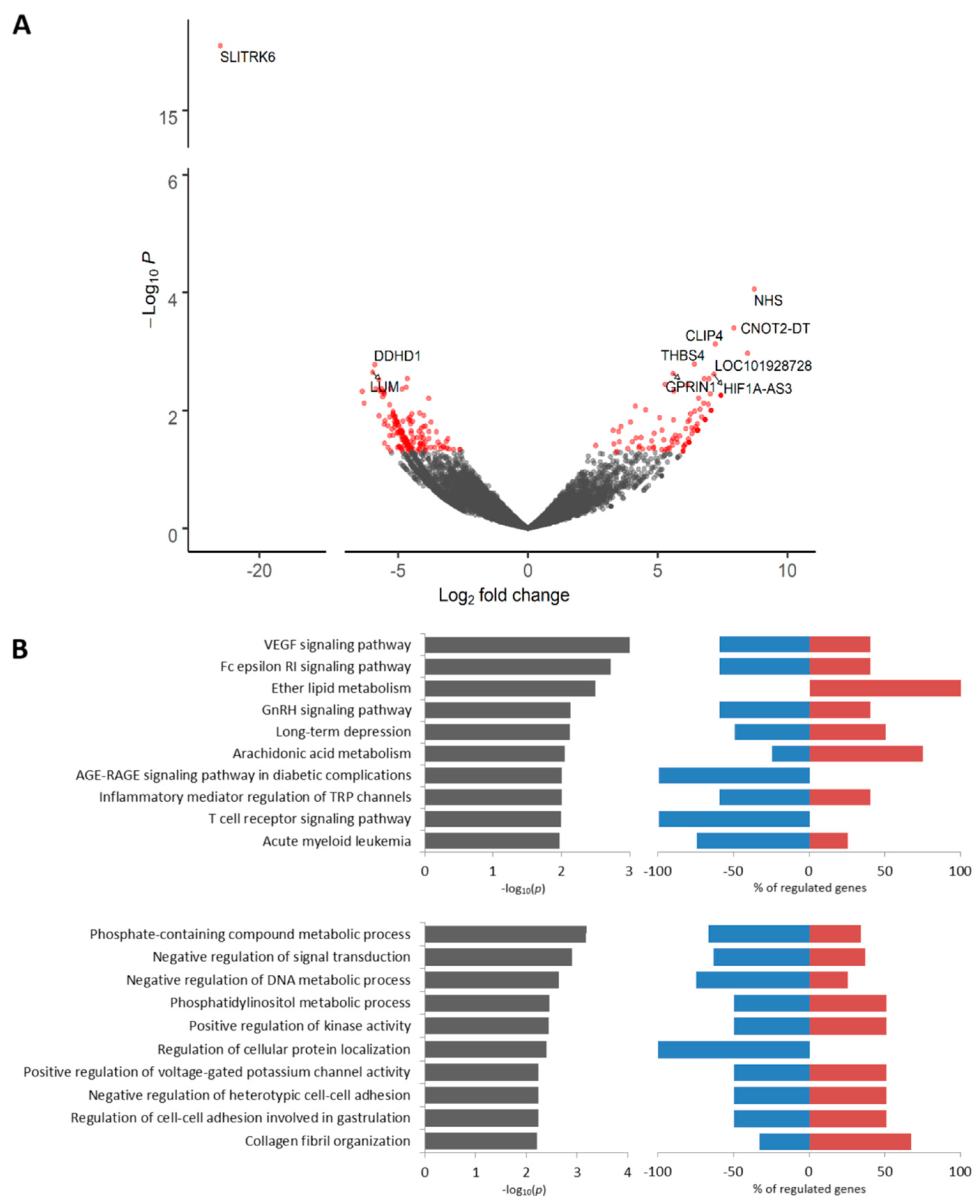 Cancers 12 01909 g003 Cancers 12 01909 g003