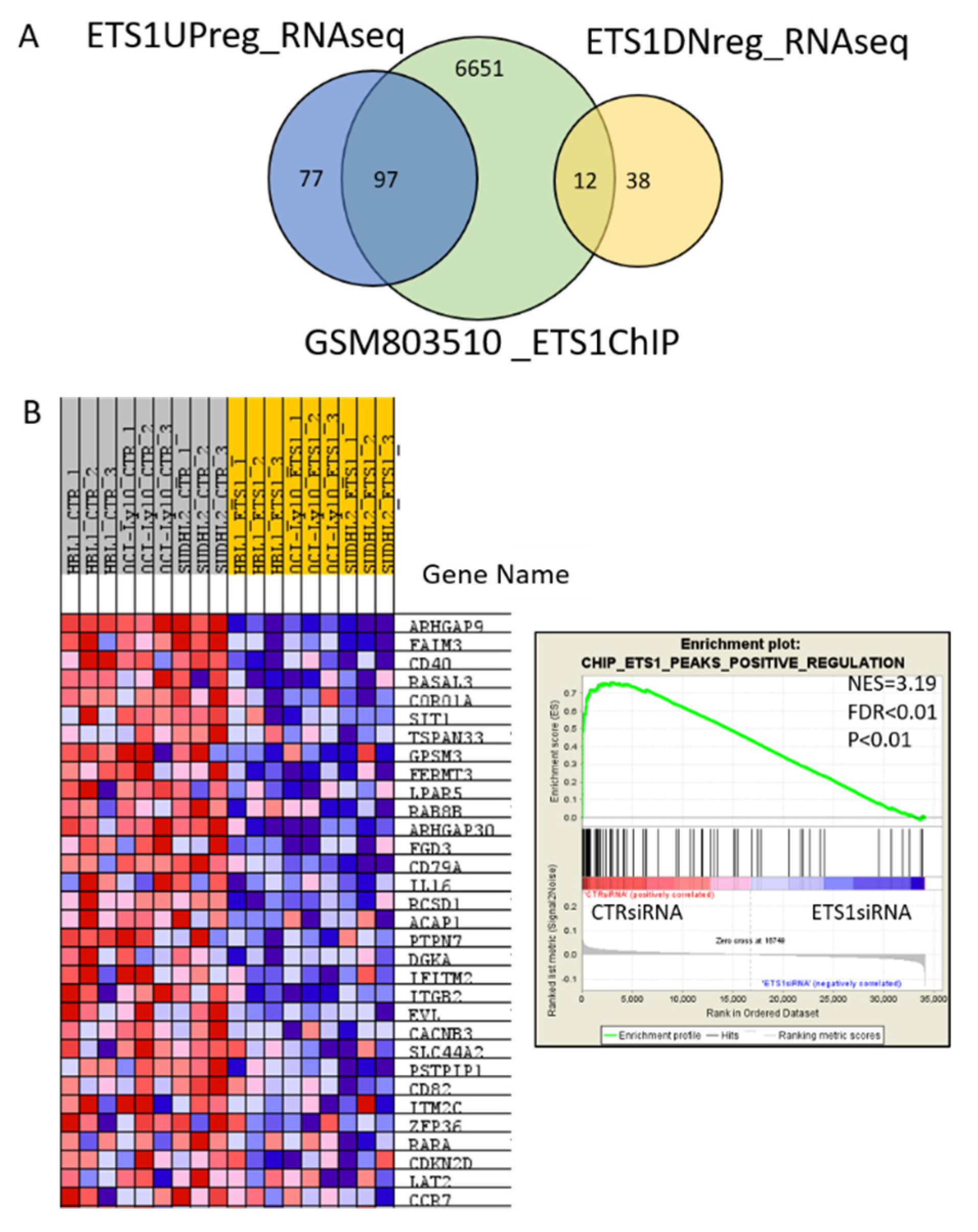 Cancers 12 01912 g002
