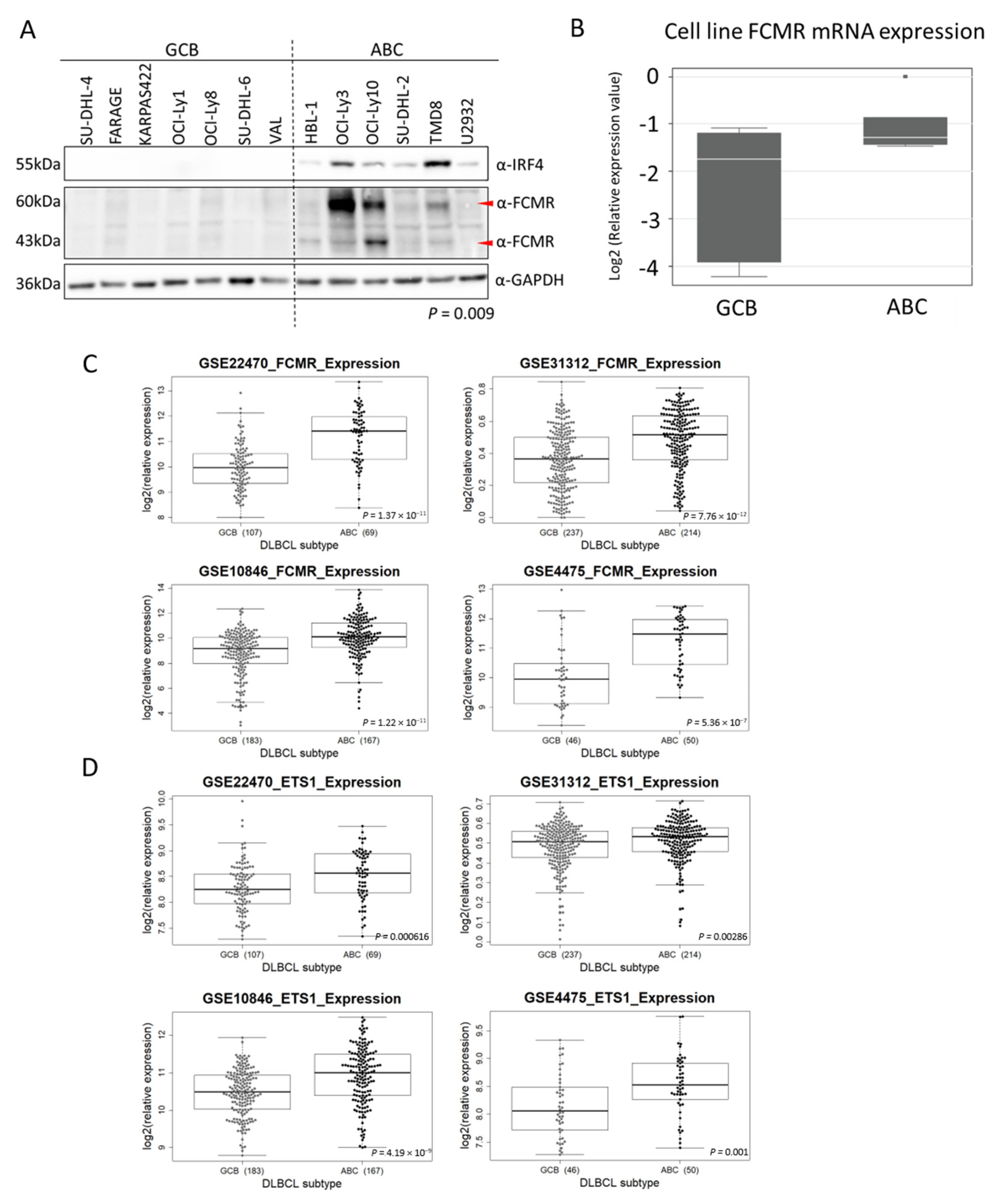 Cancers 12 01912 g004