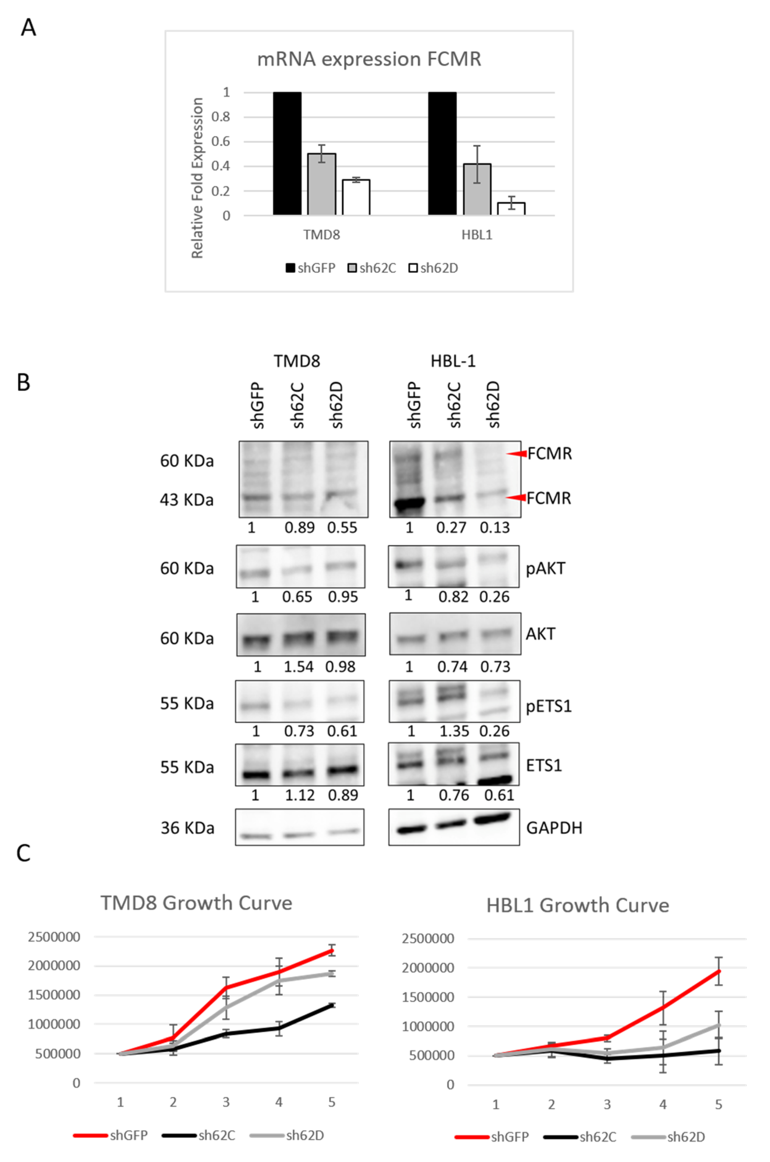 Cancers 12 01912 g005
