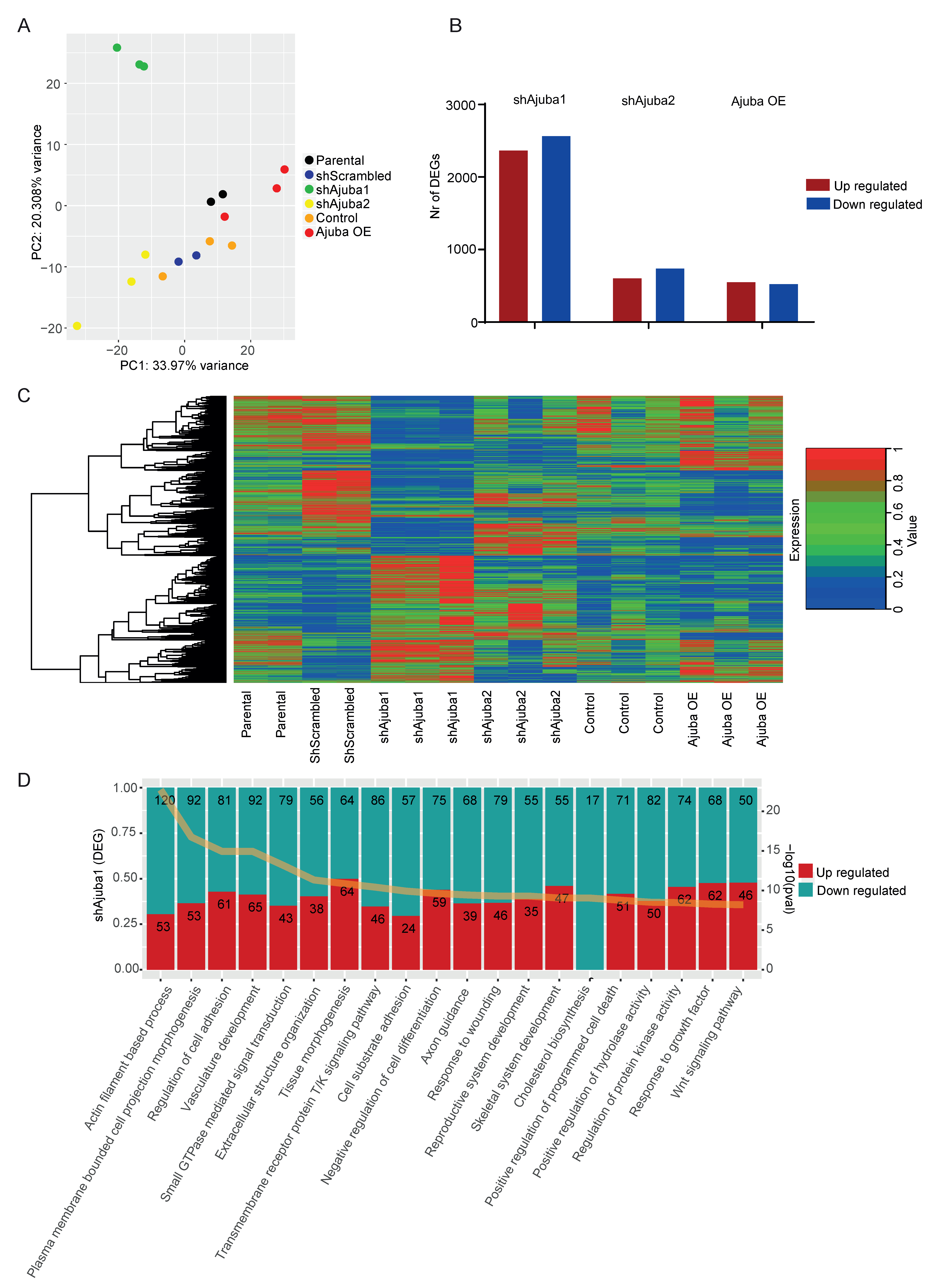Cancers 12 01913 g003