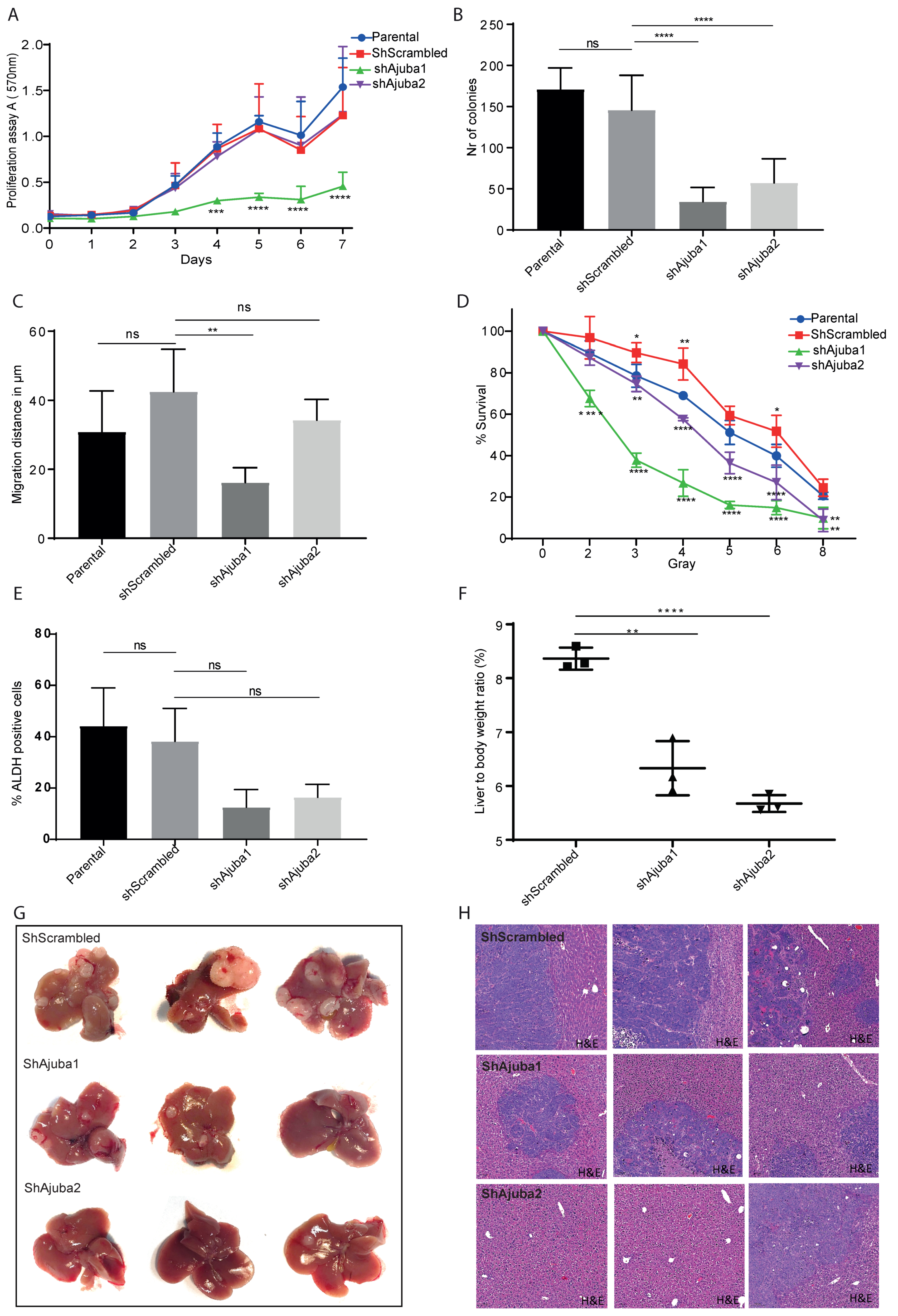Cancers 12 01913 g006