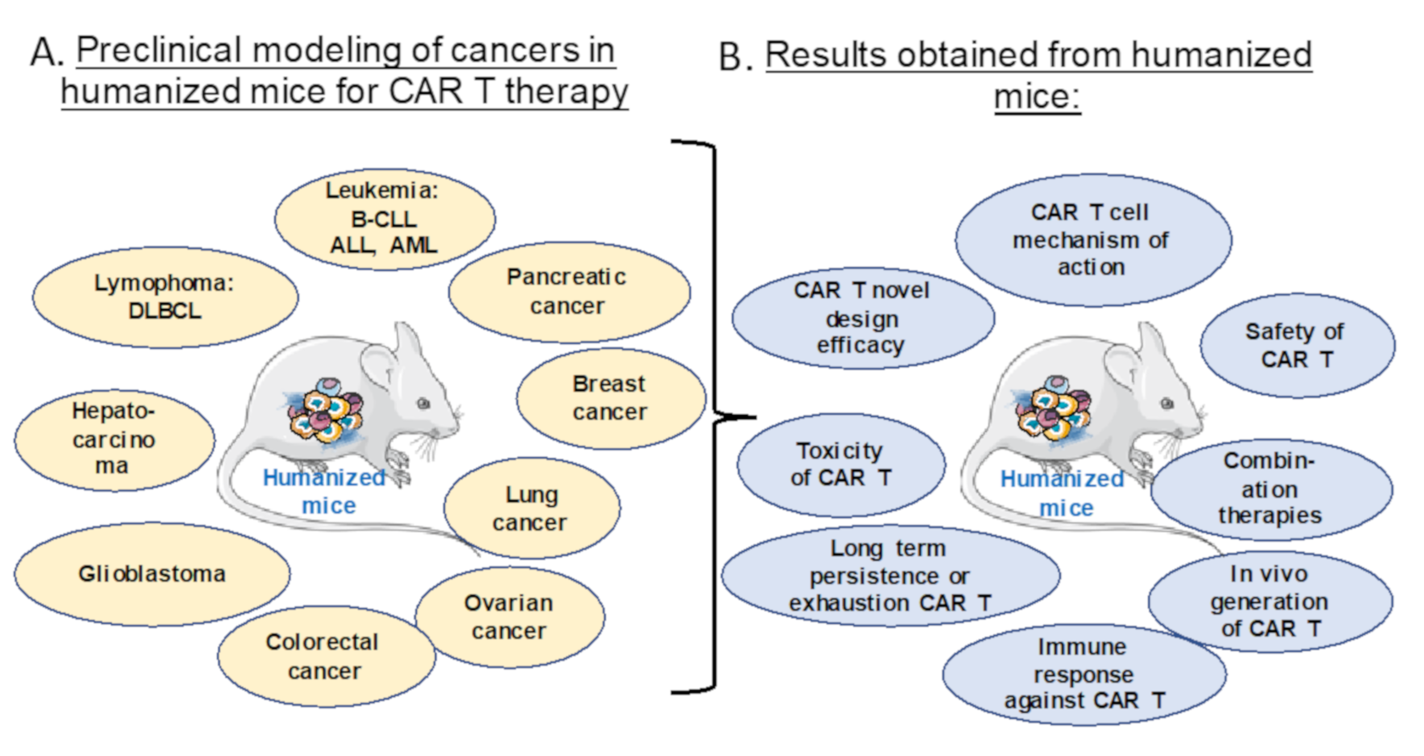 Cancers 12 01915 g004 Cancers 12 01915 g004