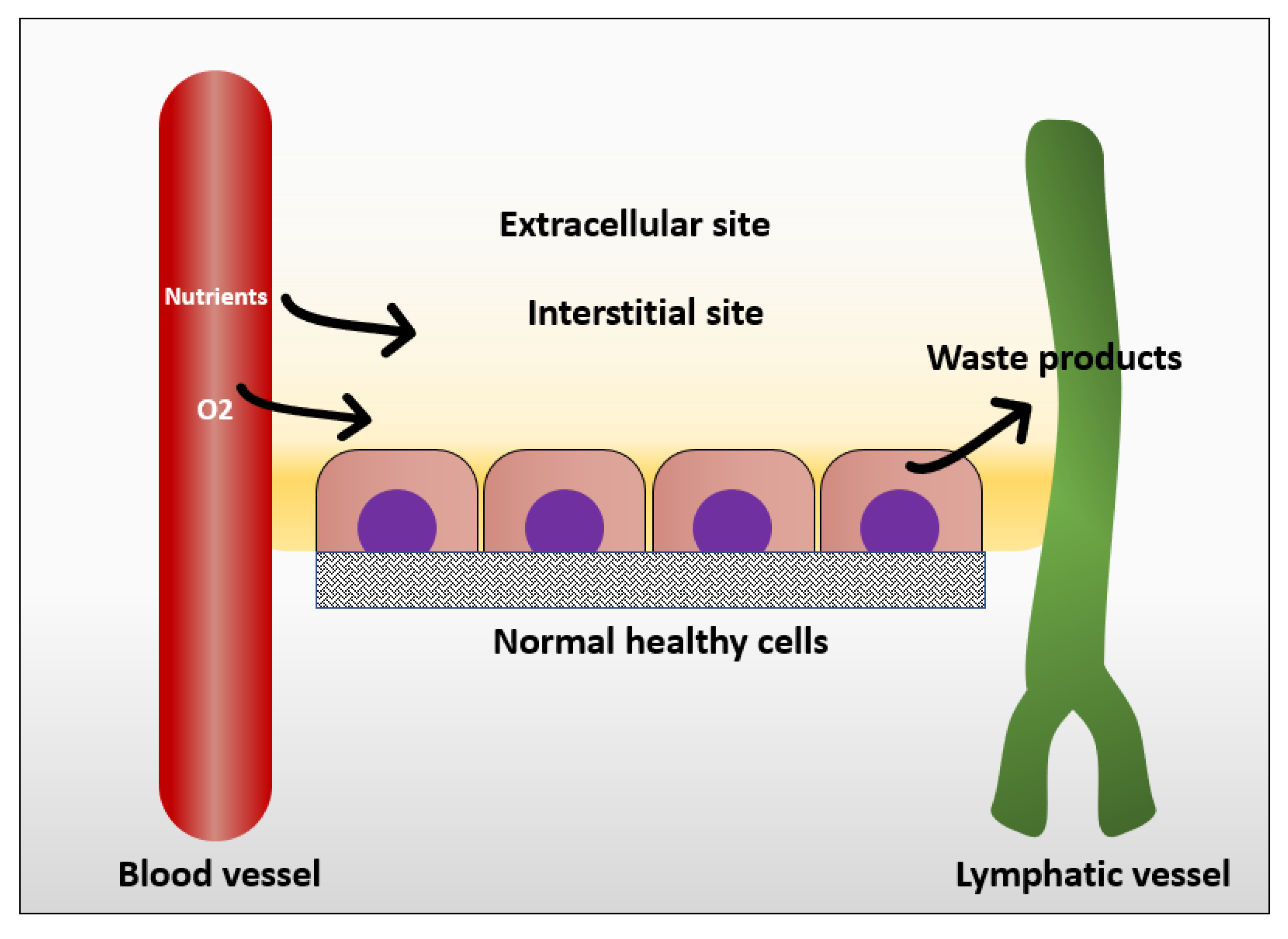 Cancers 12 01916 g001 Cancers 12 01916 g001