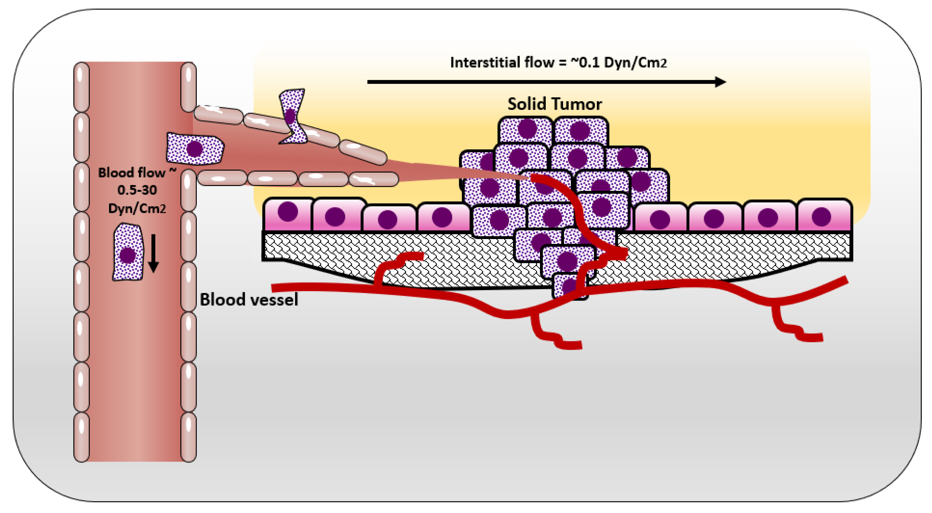 Cancers 12 01916 g002 Cancers 12 01916 g002