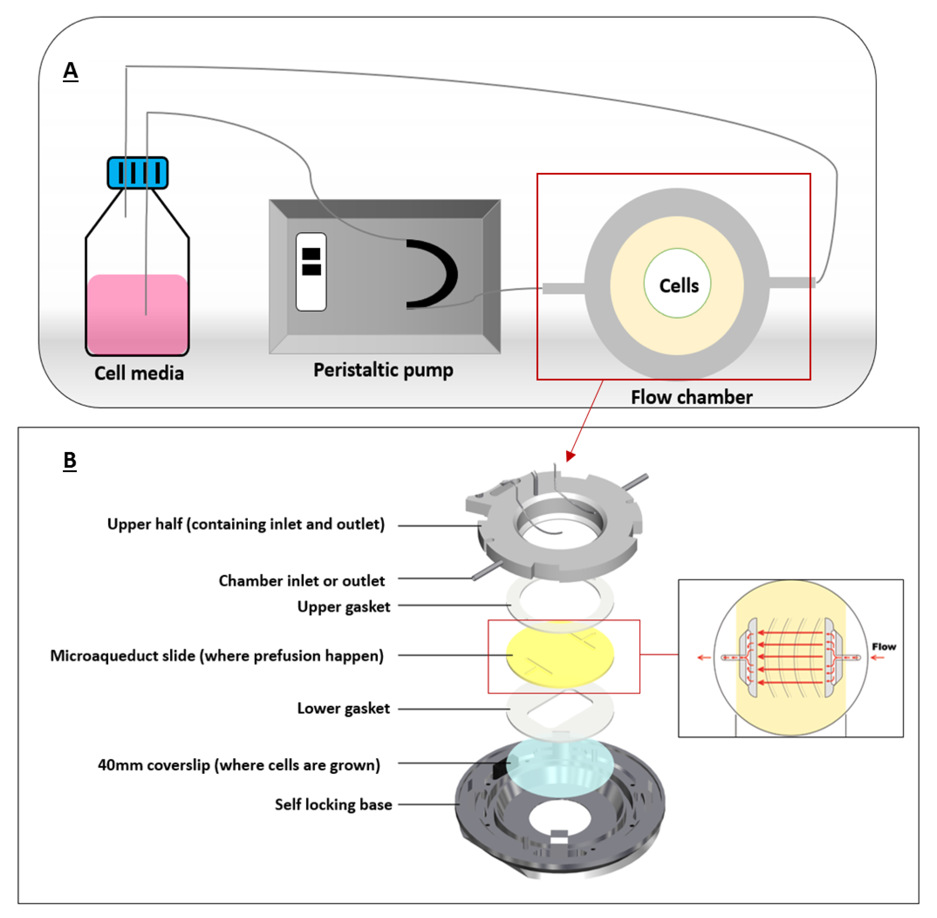 Cancers 12 01916 g003 Cancers 12 01916 g003