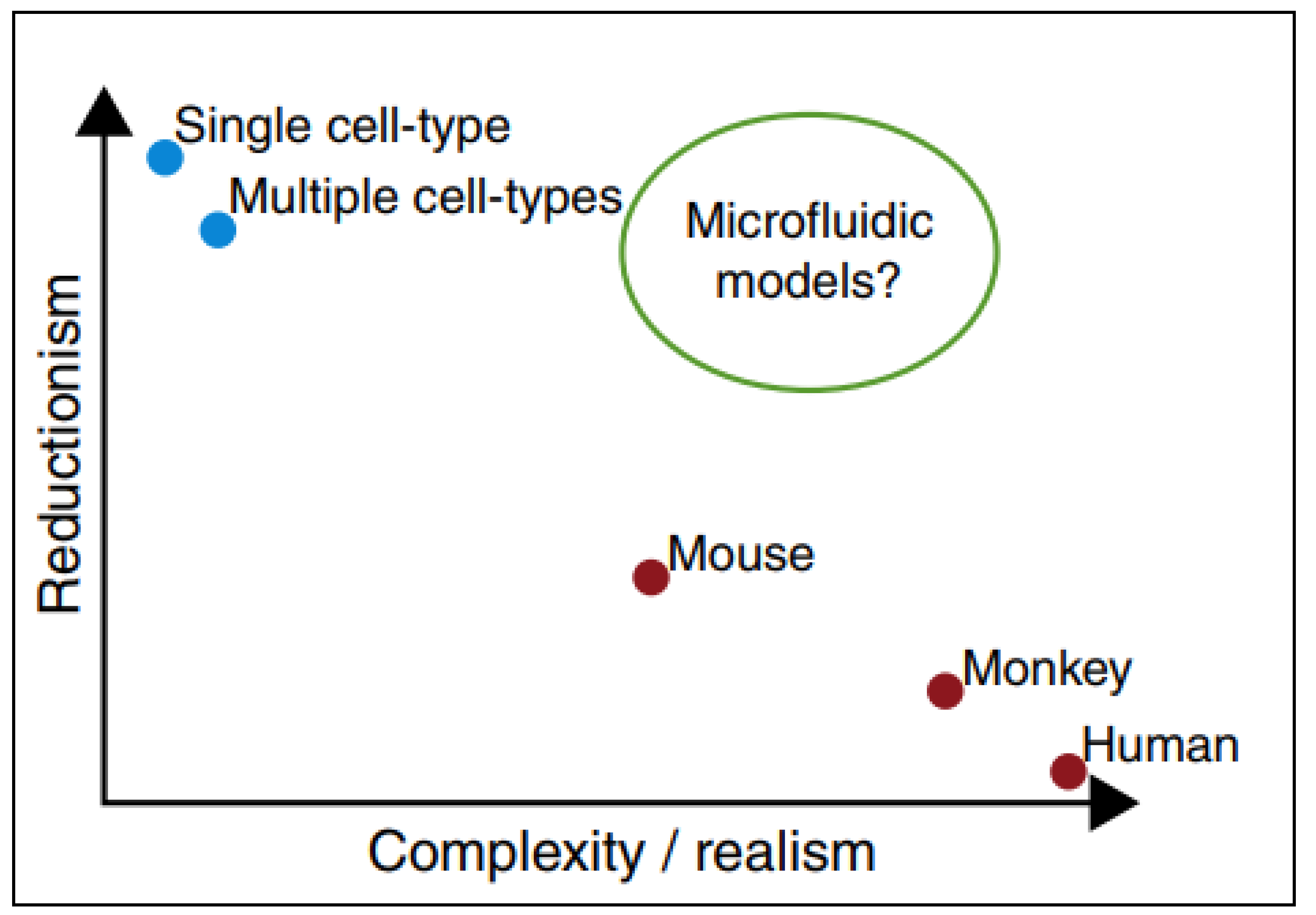 Cancers 12 01916 g004 Cancers 12 01916 g004