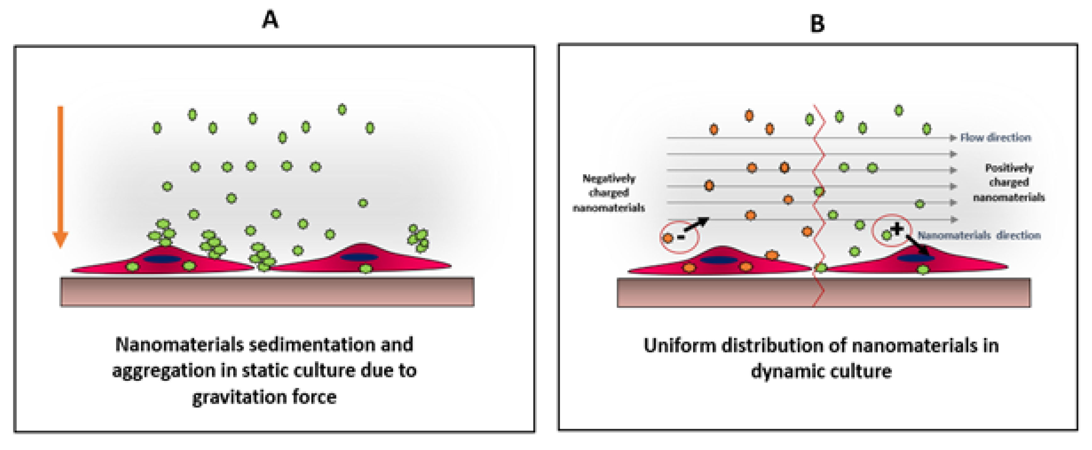 Cancers 12 01916 g005 Cancers 12 01916 g005
