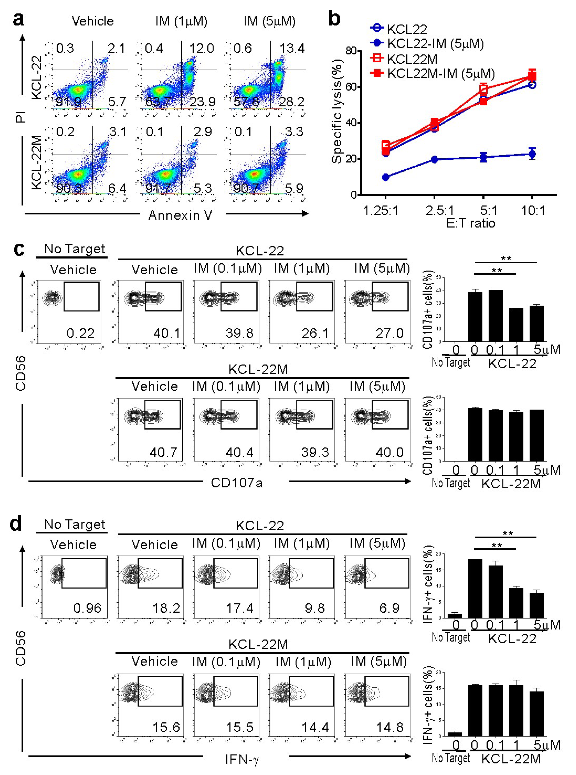 Cancers 12 01923 g001