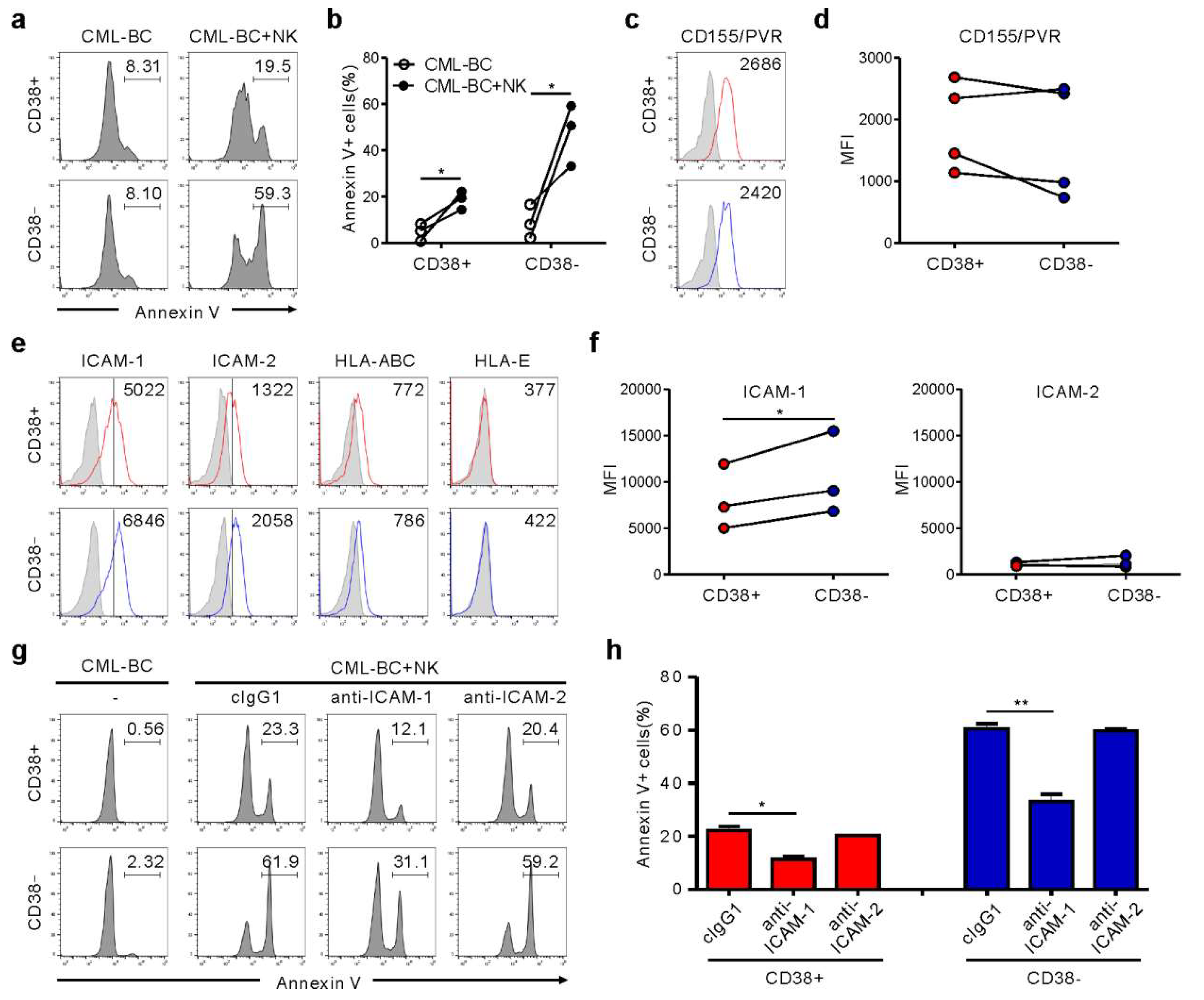 Cancers 12 01923 g004