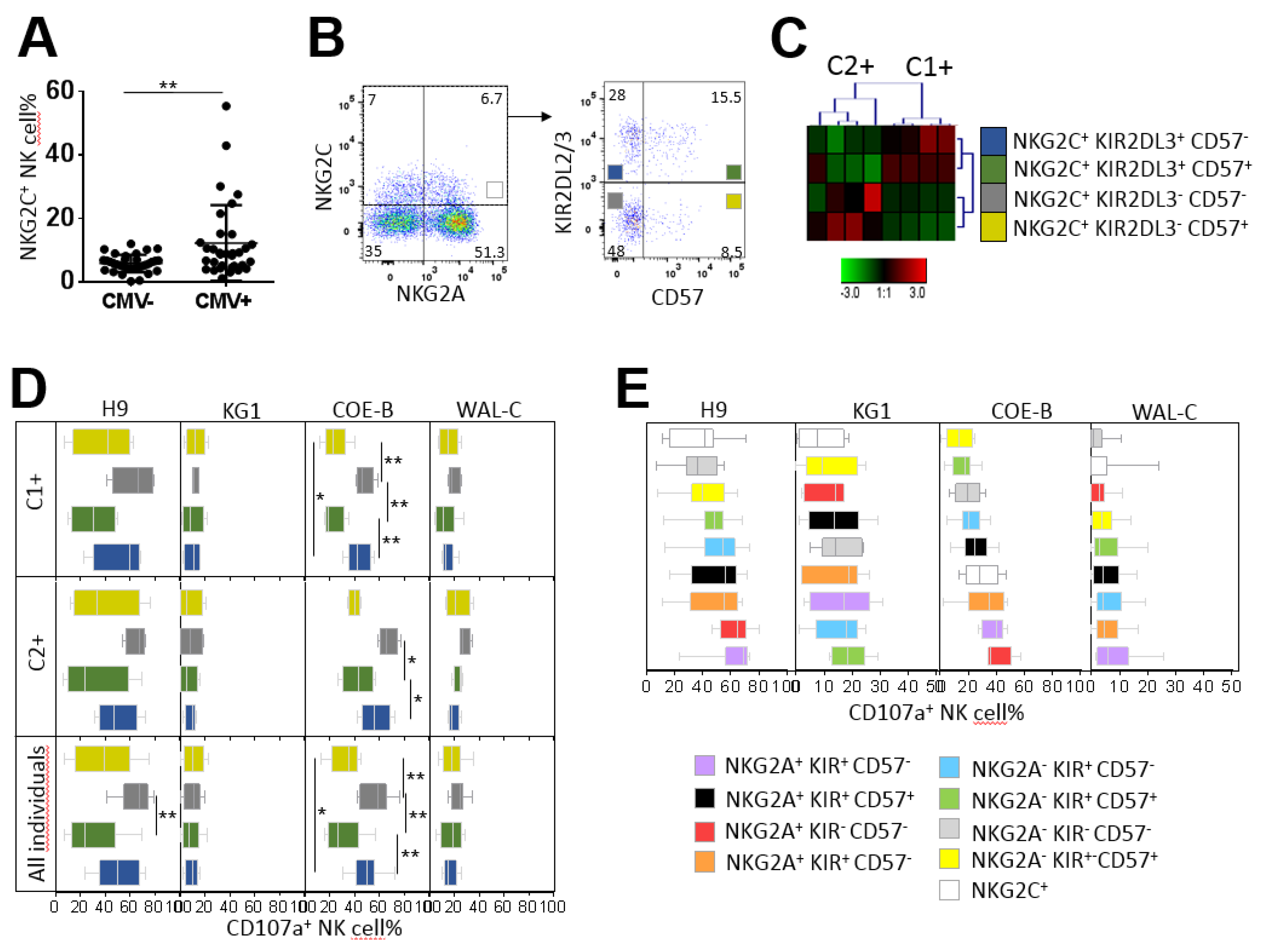Cancers 12 01927 g006 Cancers 12 01927 g006