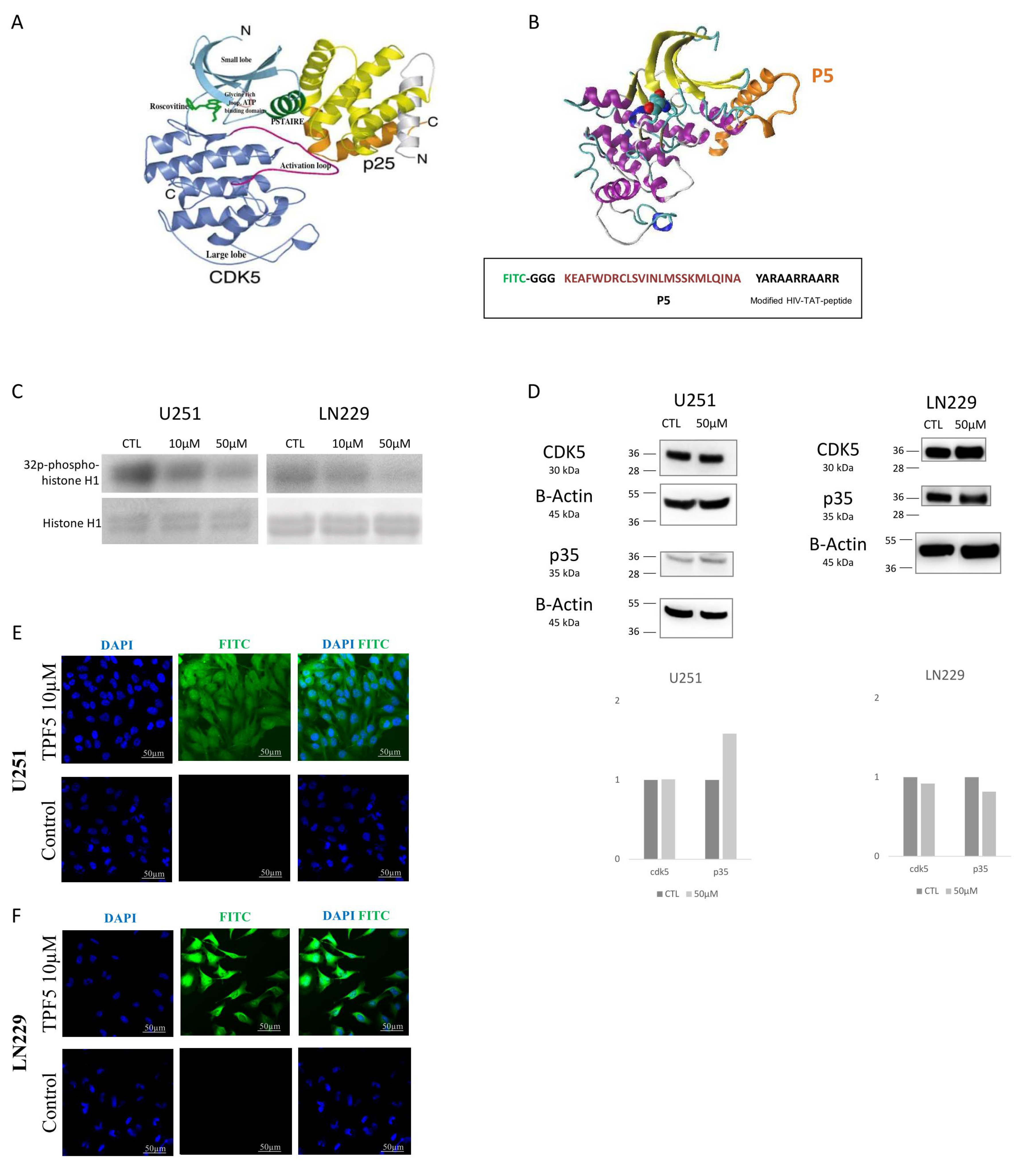 Cancers 12 01935 g001