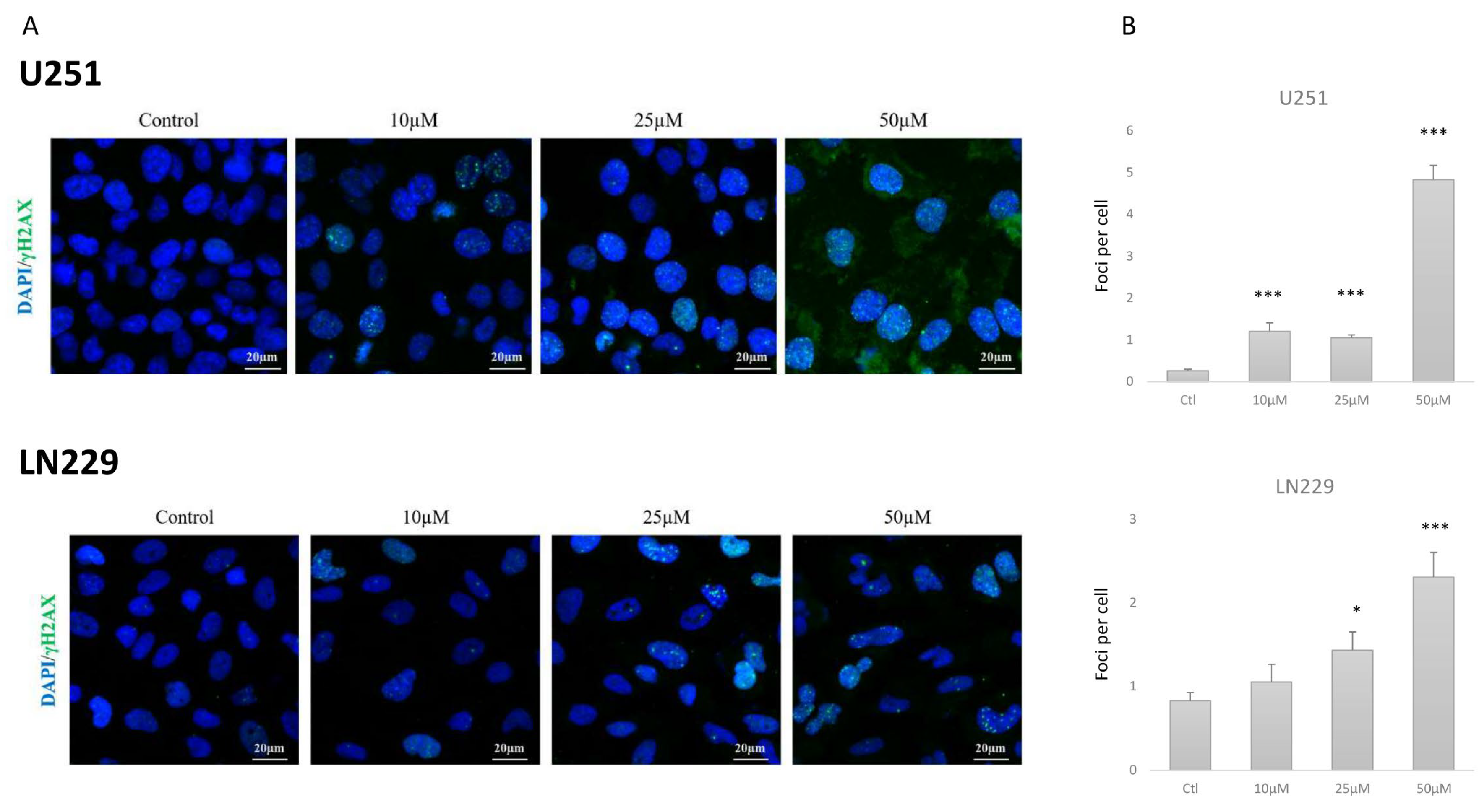 Cancers 12 01935 g003a