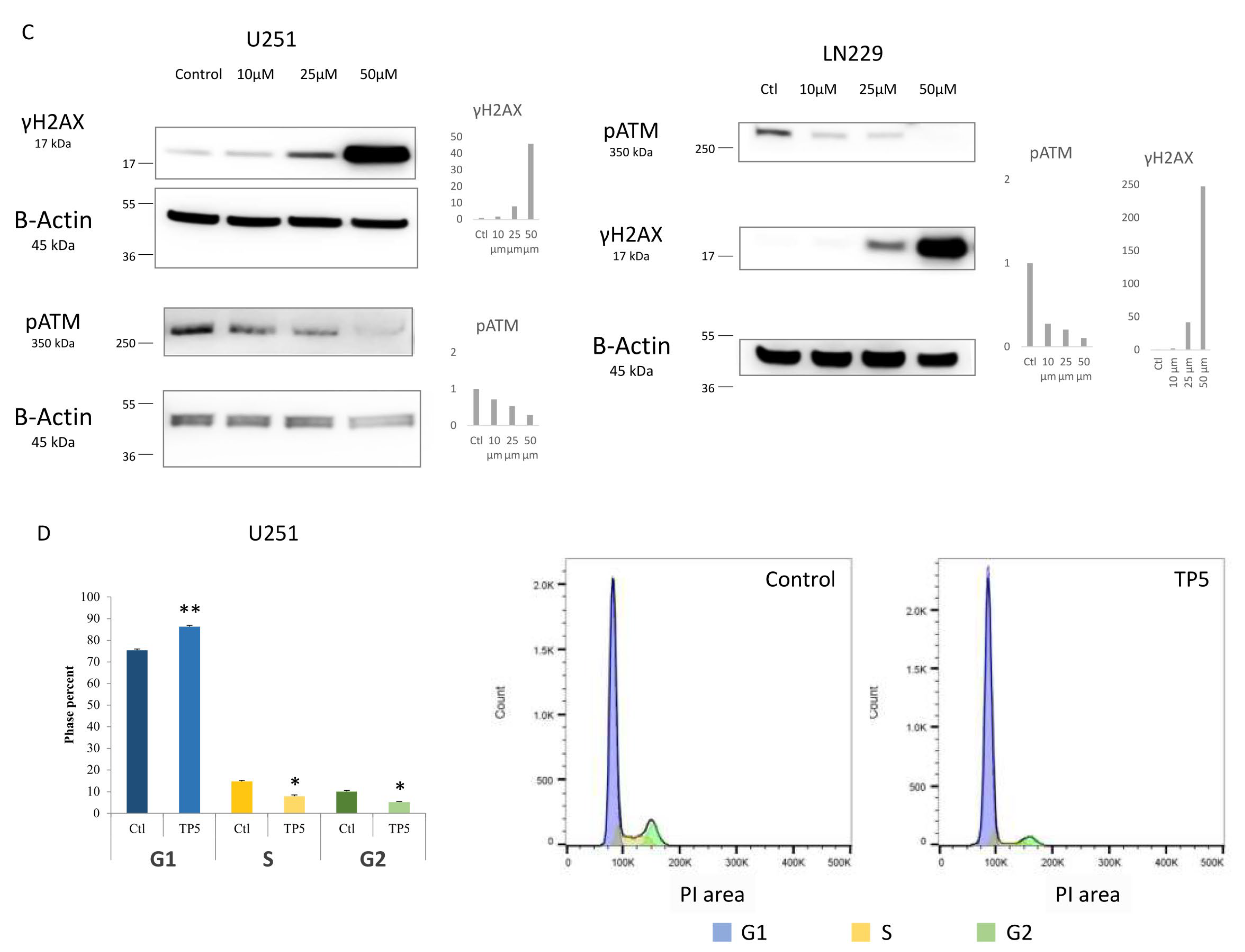 Cancers 12 01935 g003b
