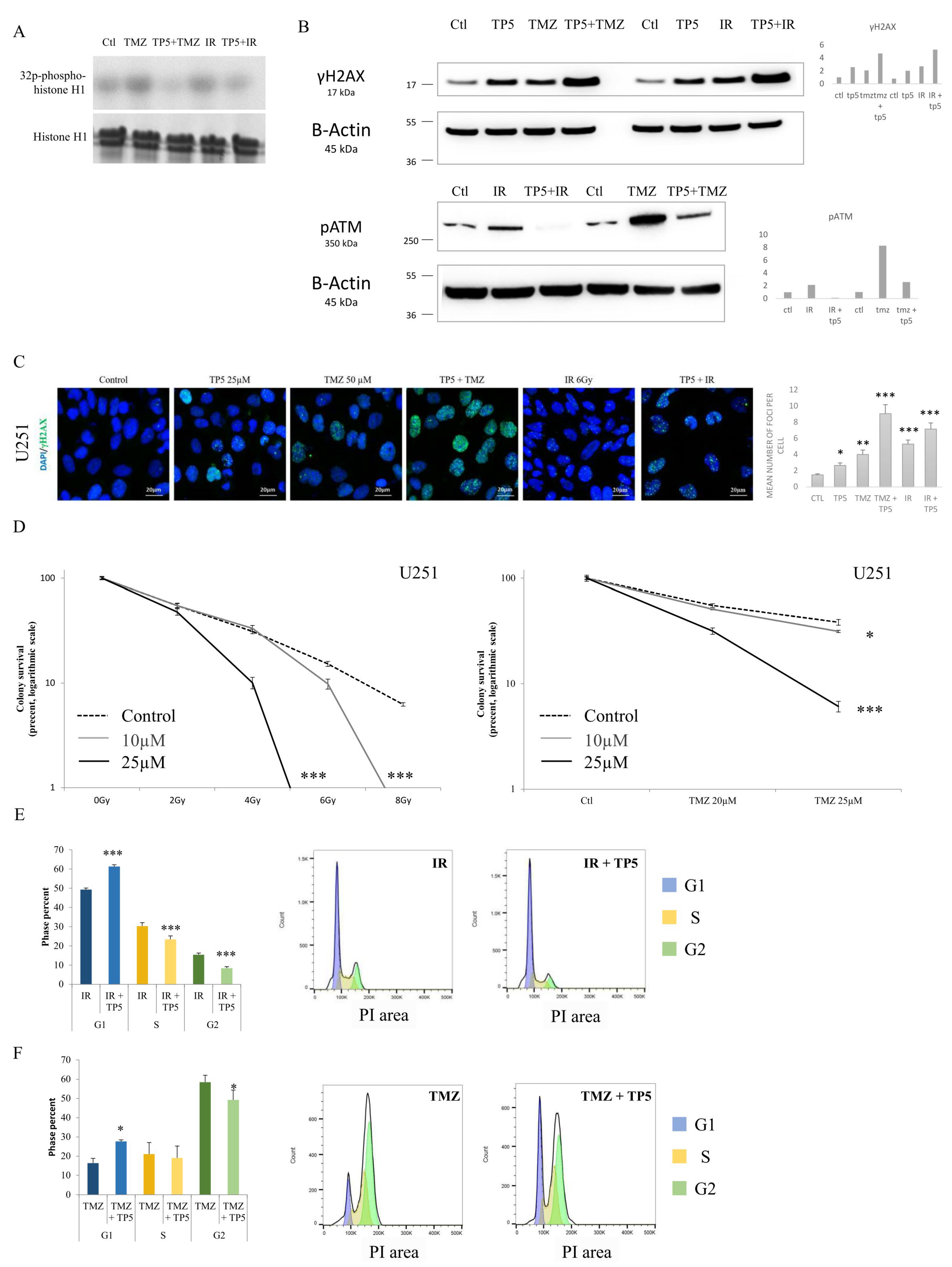 Cancers 12 01935 g004